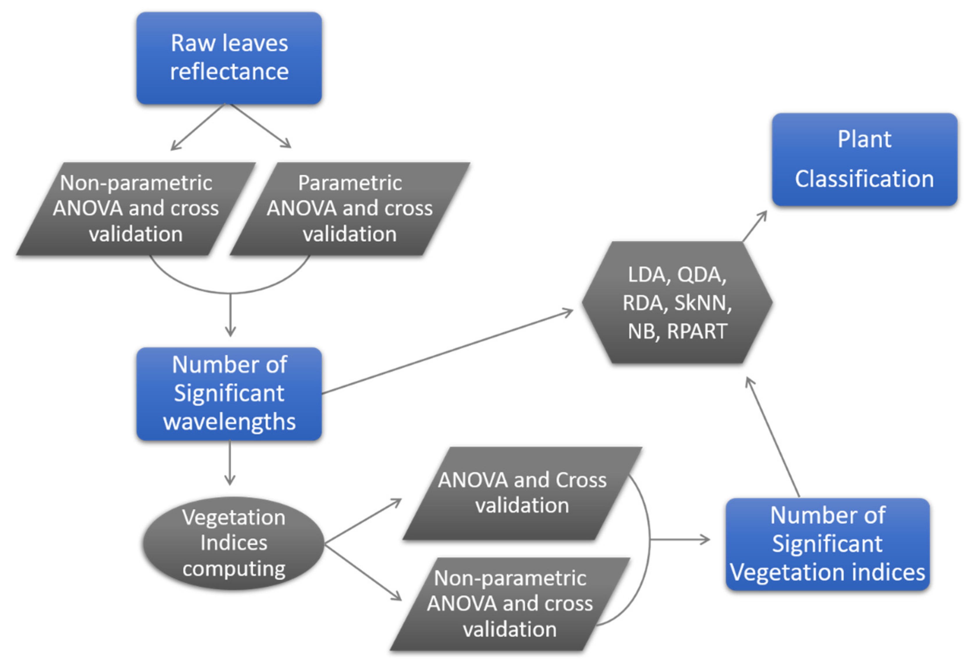 Remotesensing 13 02436 g005