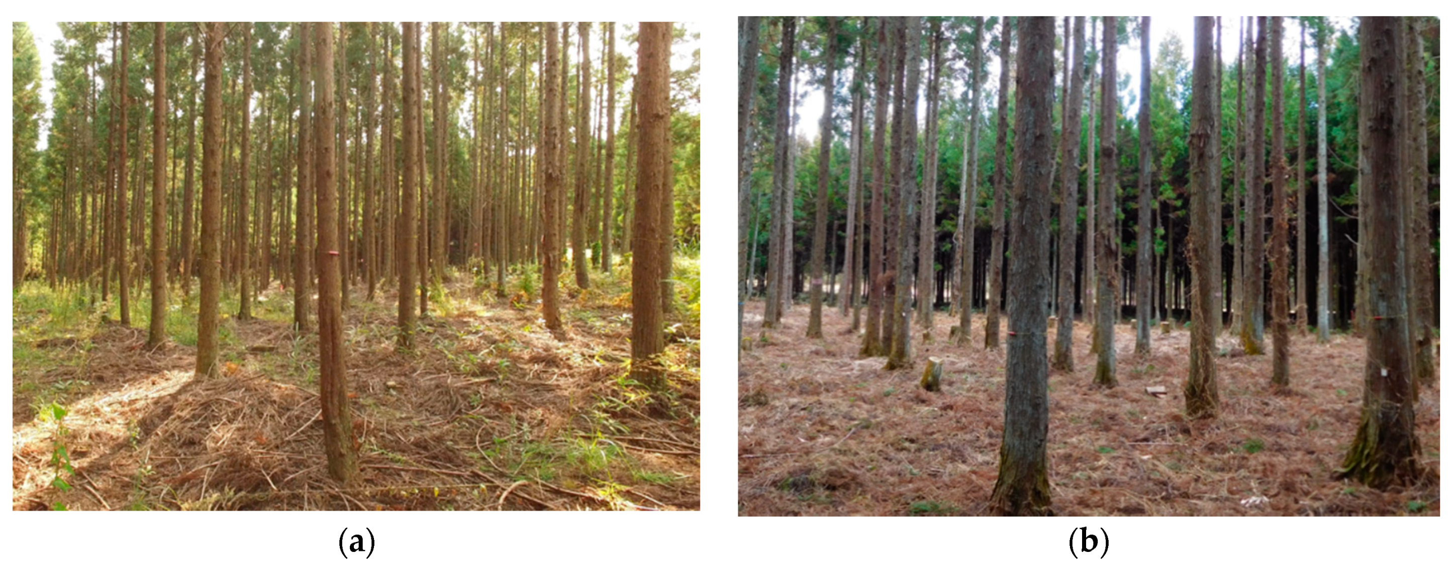 Remotesensing 13 02476 g001