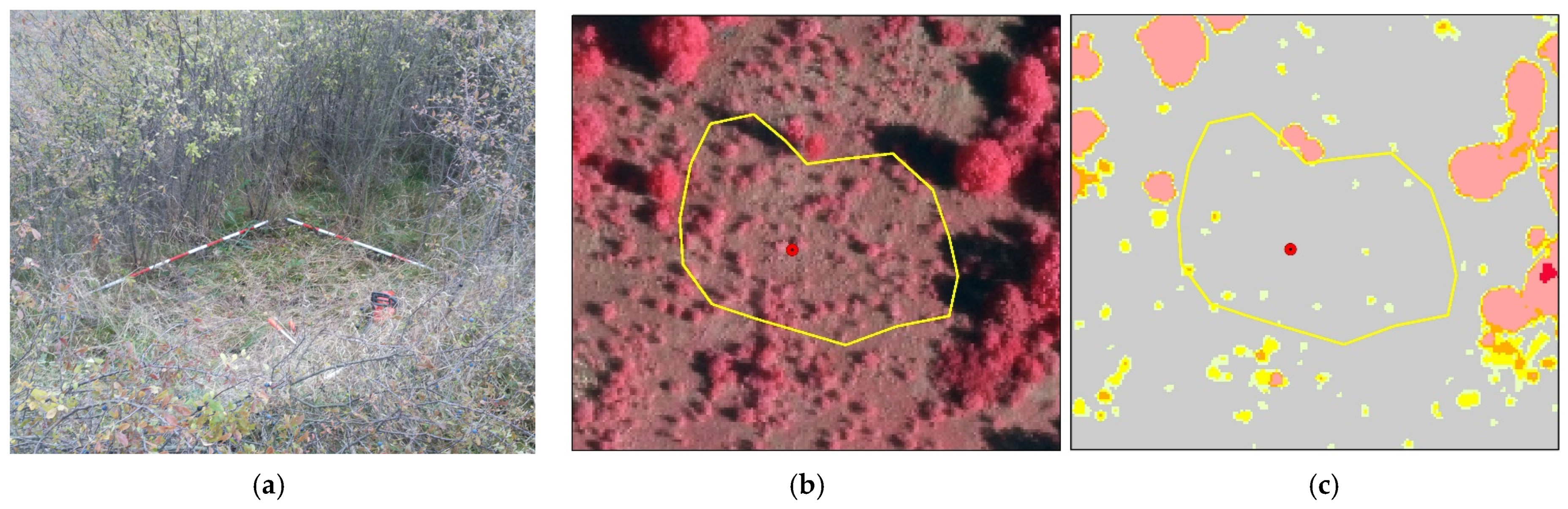 Remotesensing 13 02488 g003