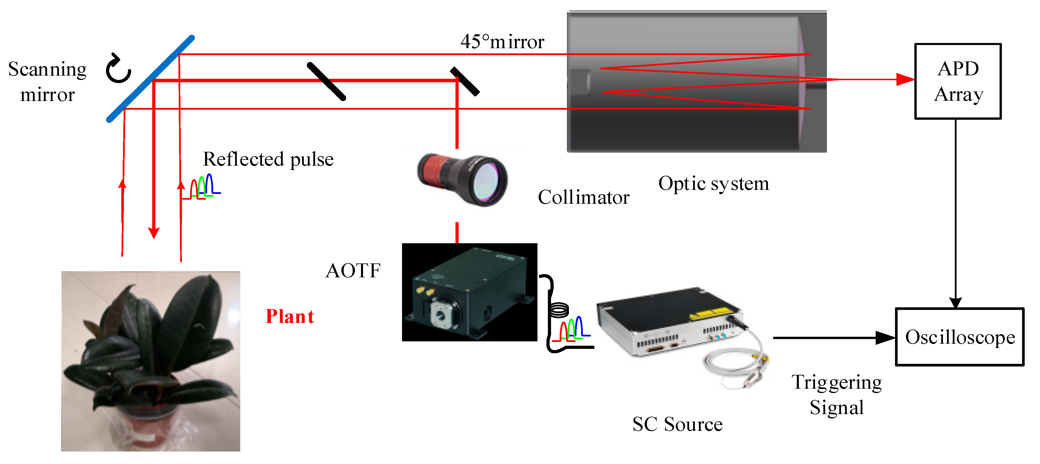 Remotesensing 13 02521 g001 550