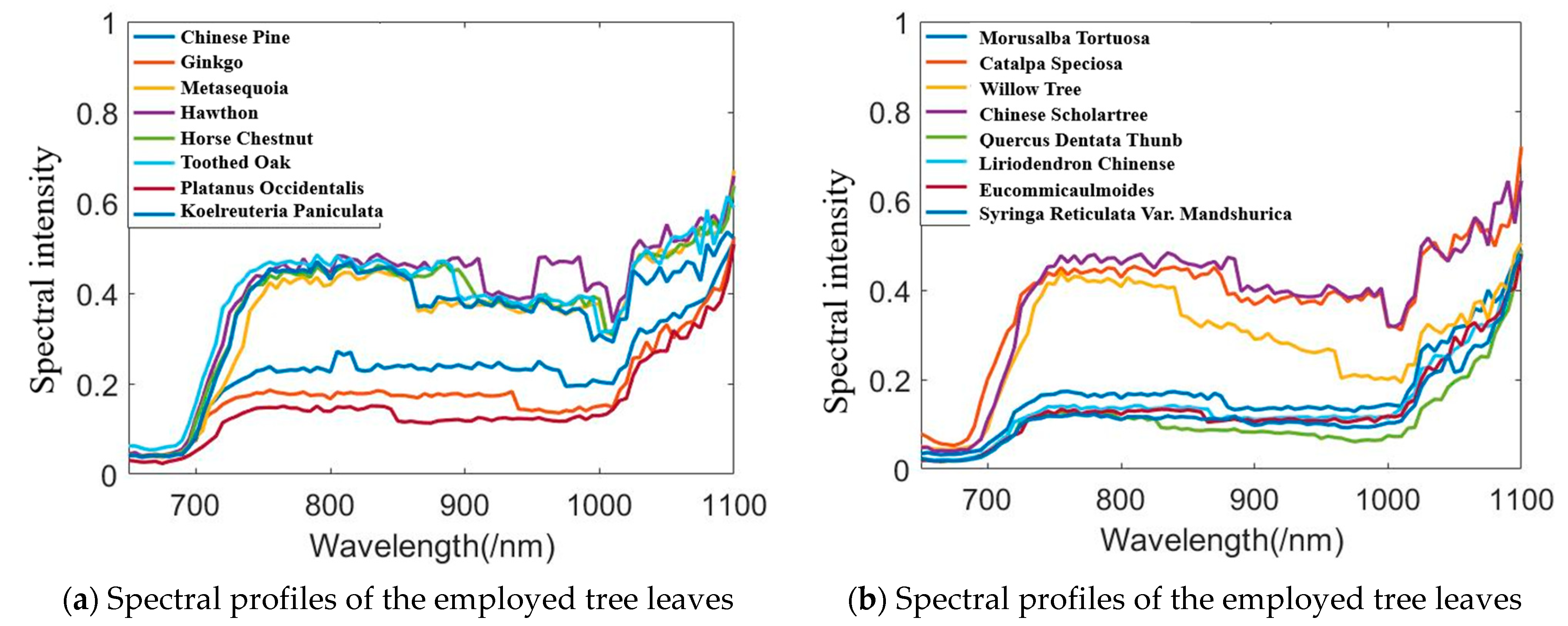 Remotesensing 13 02521 g011 550
