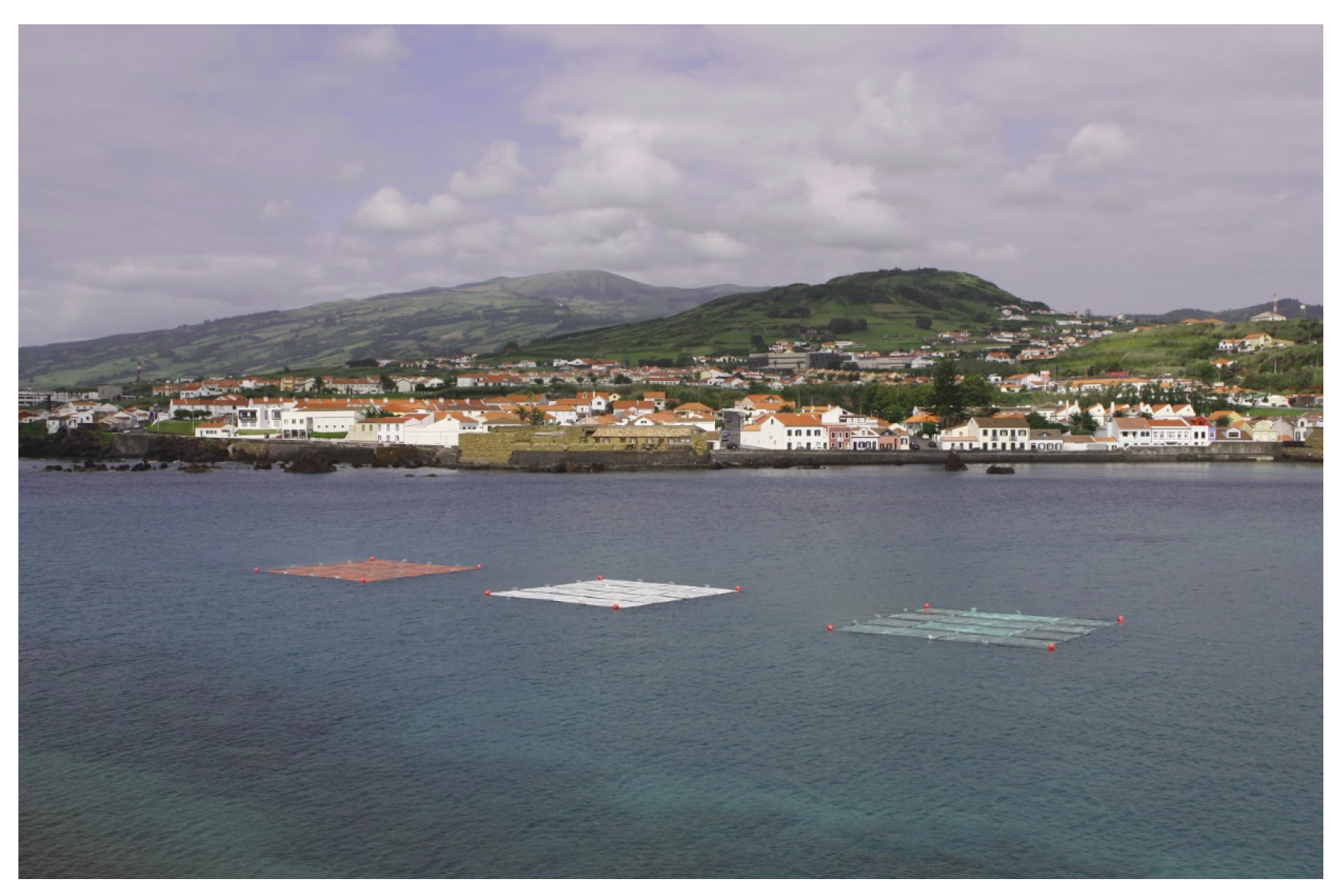 Remotesensing 13 02536 g008 550