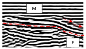 Remotesensing 13 02542 i002