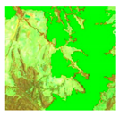 Remotesensing 13 02544 i087