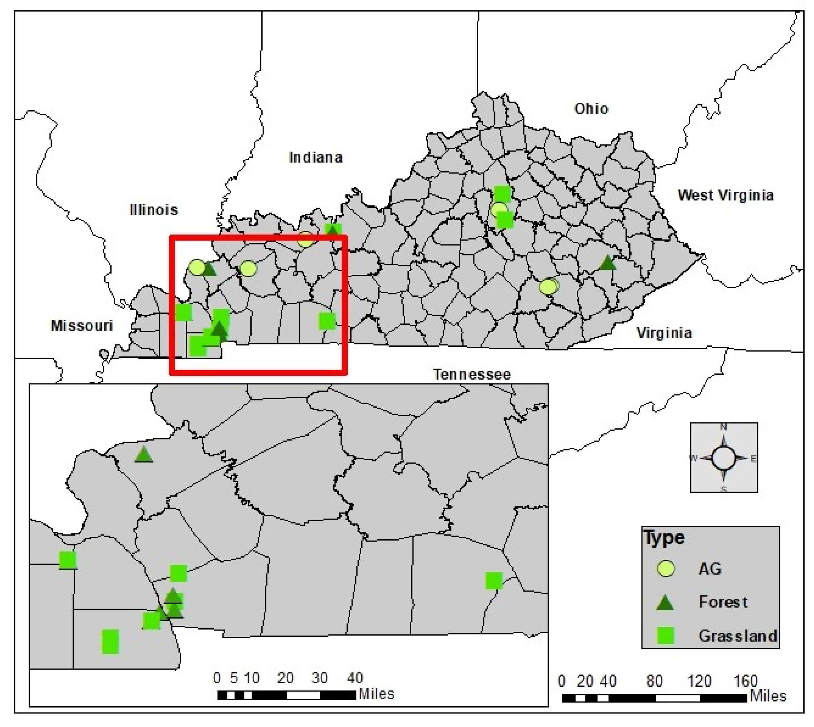 Remotesensing 13 02593 g001 550
