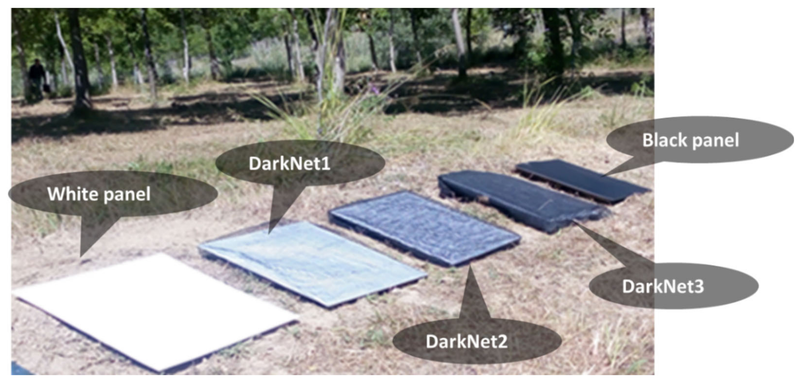 Remotesensing 13 02606 g002