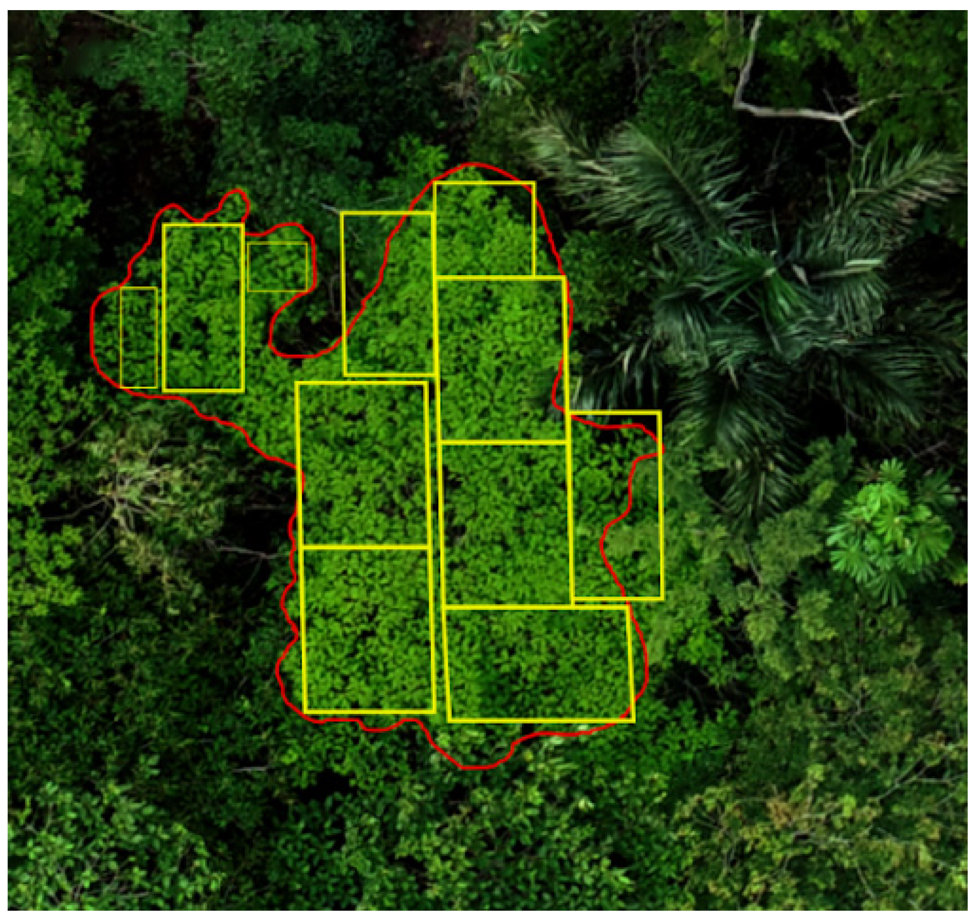 Remotesensing 13 02627 g002