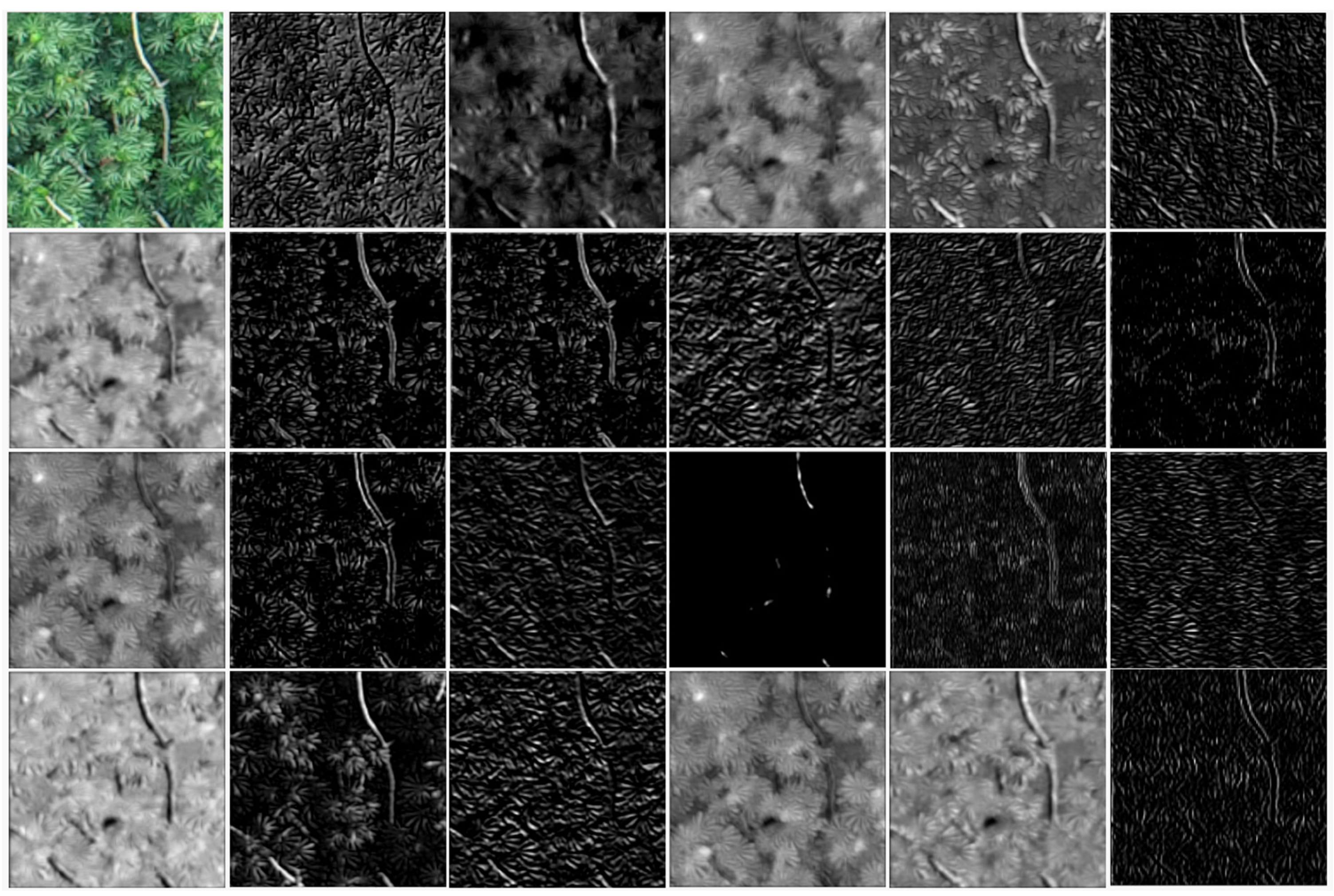 Remotesensing 13 02627 g003