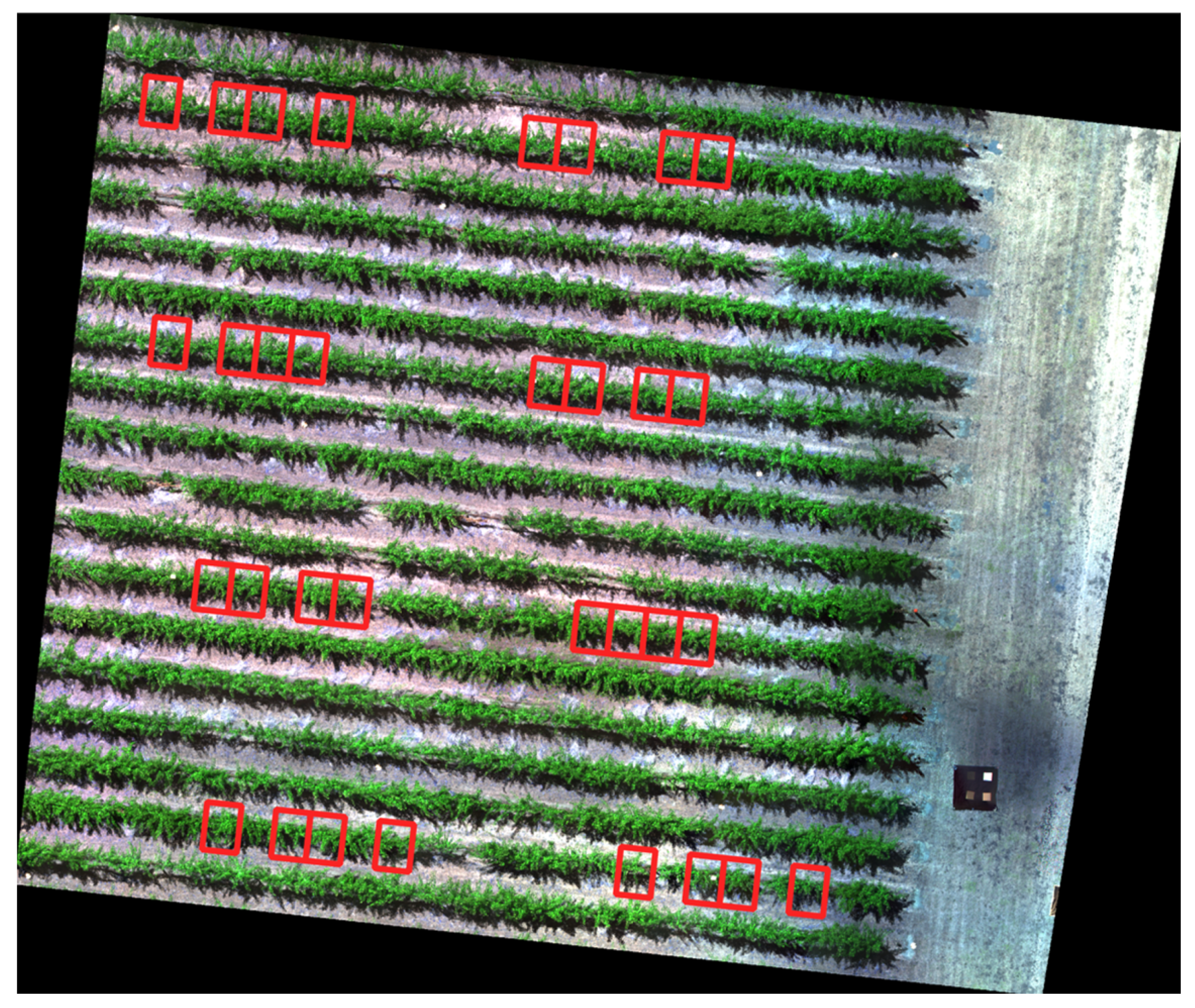 Remotesensing 13 02639 g002