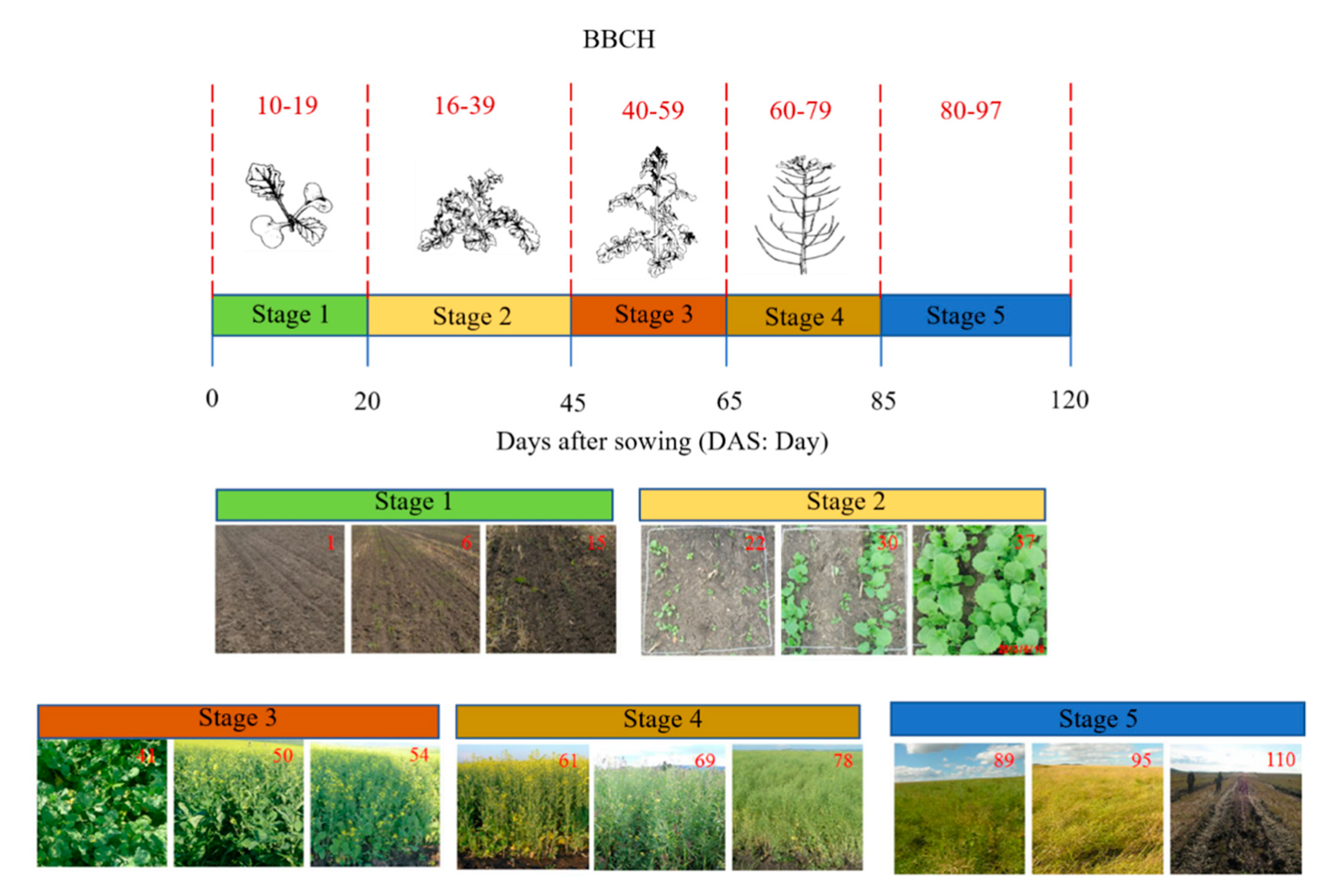 Remotesensing 13 02652 g002 550