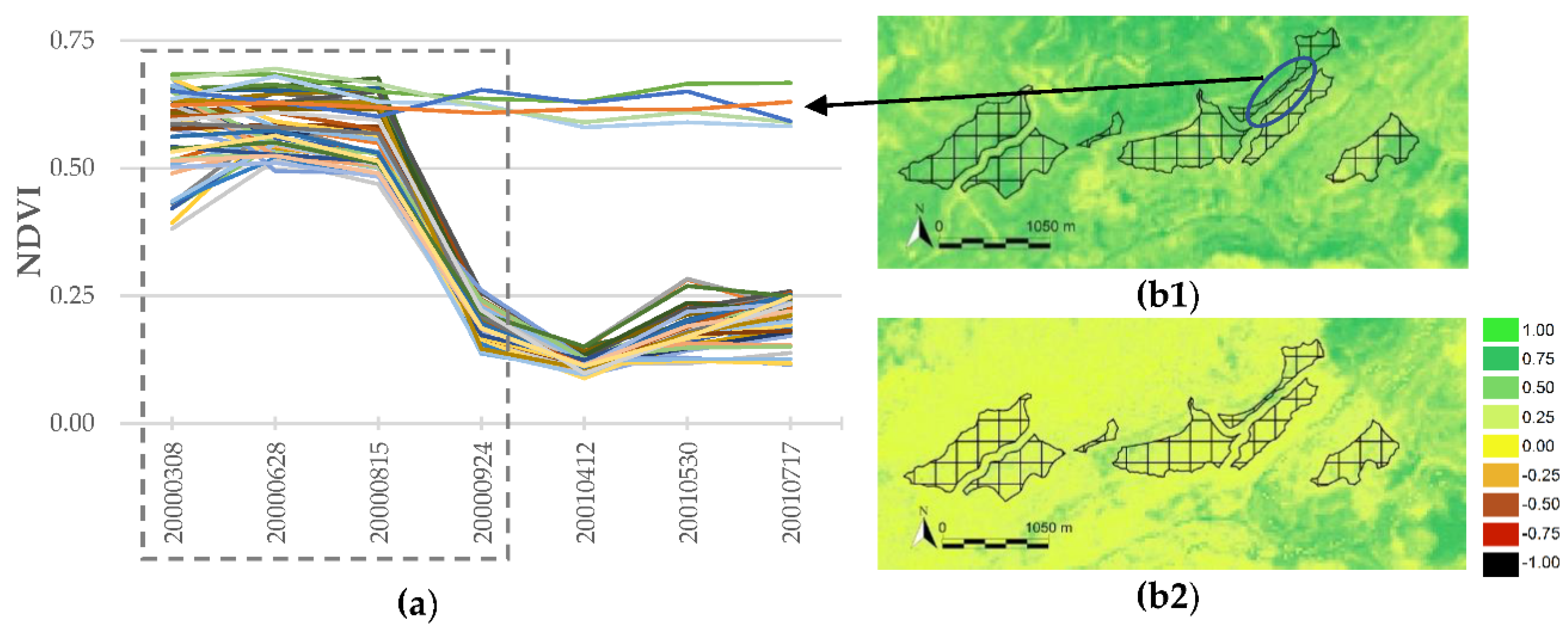 Remotesensing 13 02662 g005