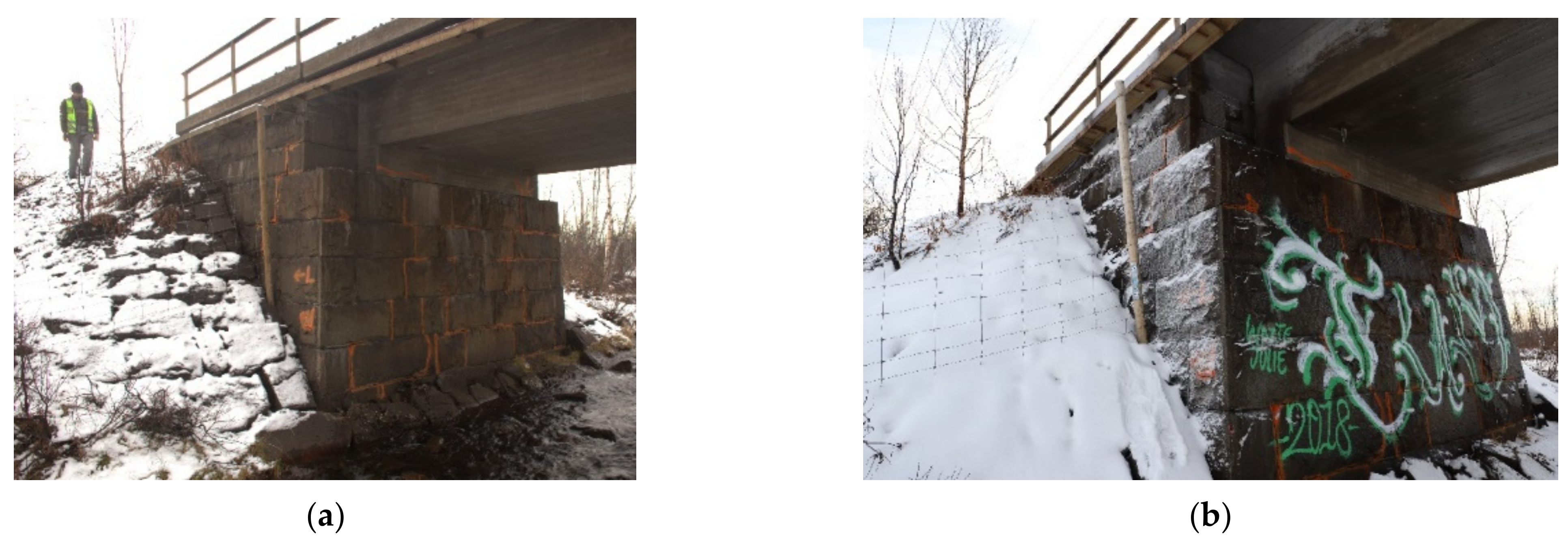 Remotesensing 13 02665 g002