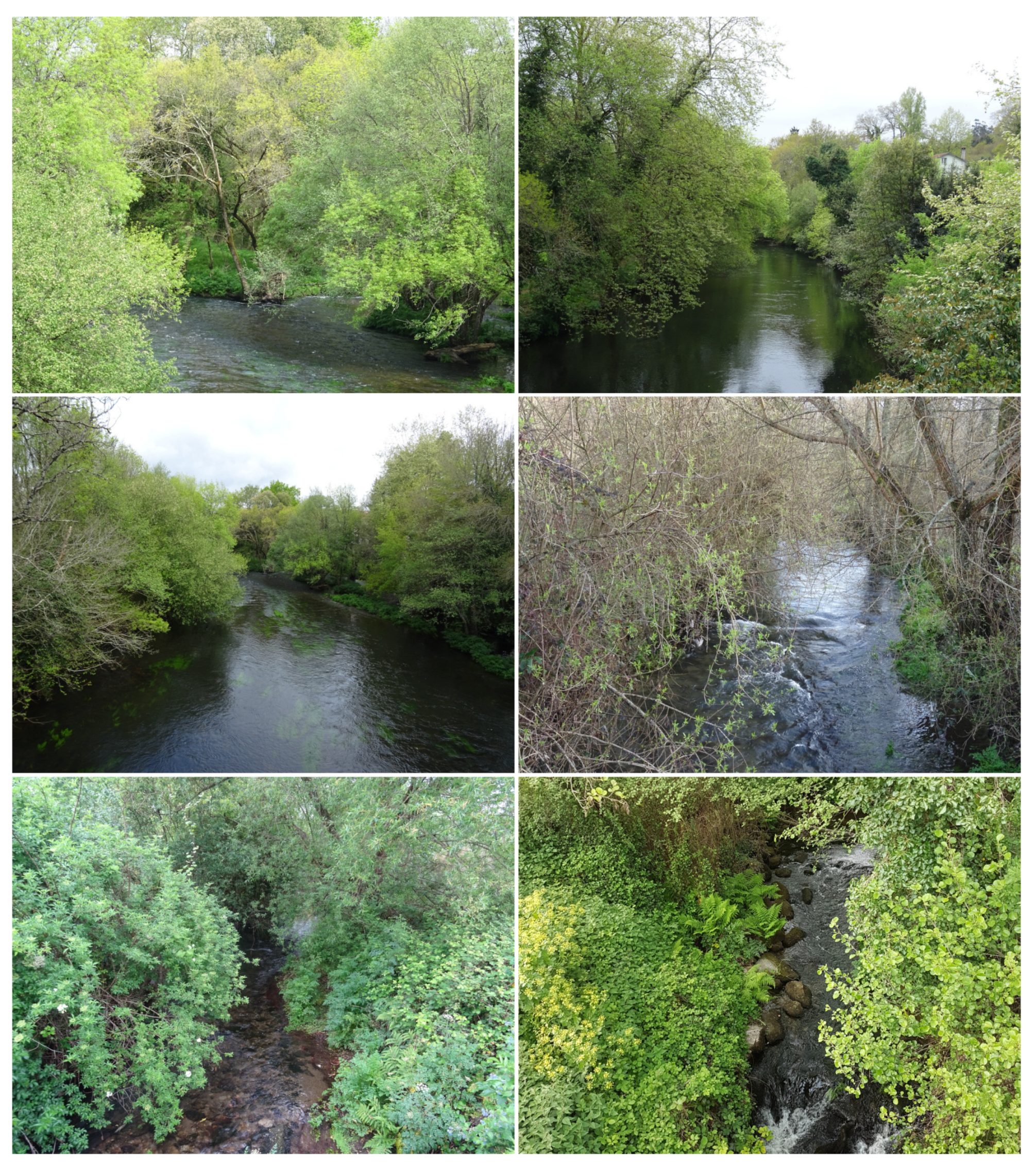 Remotesensing 13 02687 g001 550