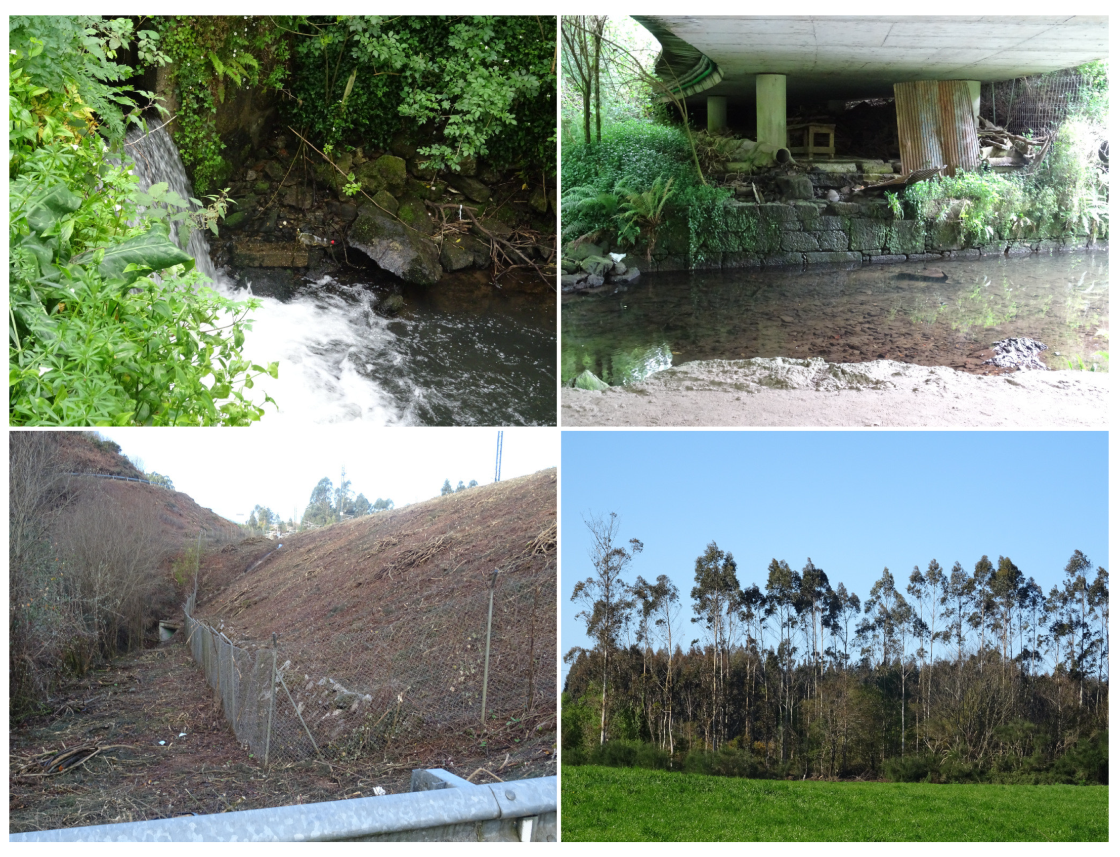 Remotesensing 13 02687 g003 550