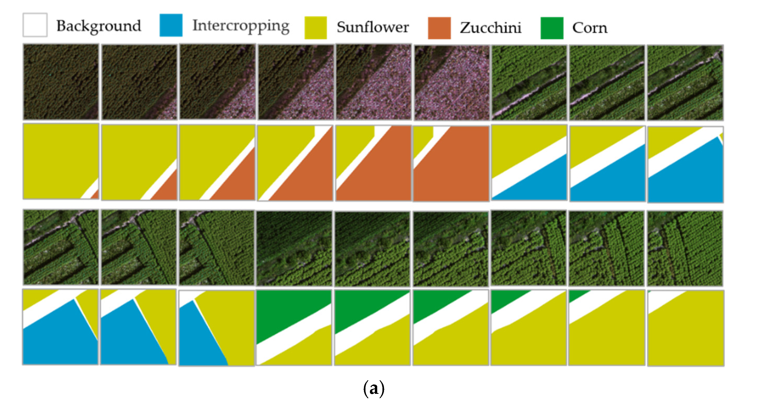 Remotesensing 13 02706 g005a 550