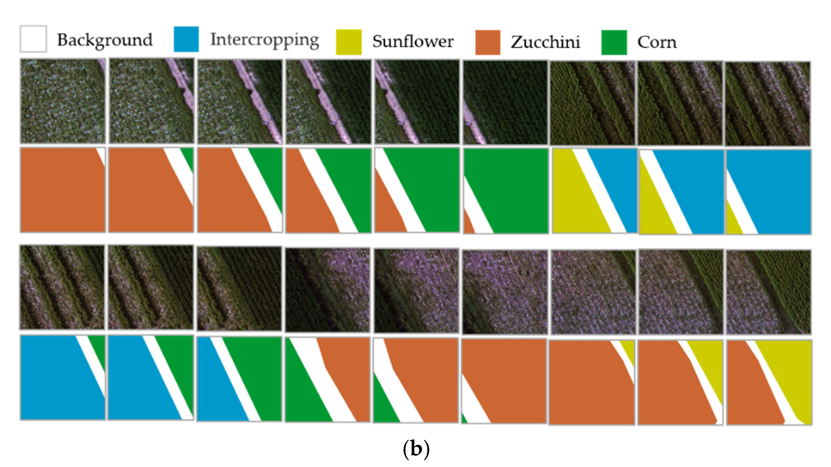 Remotesensing 13 02706 g005b 550