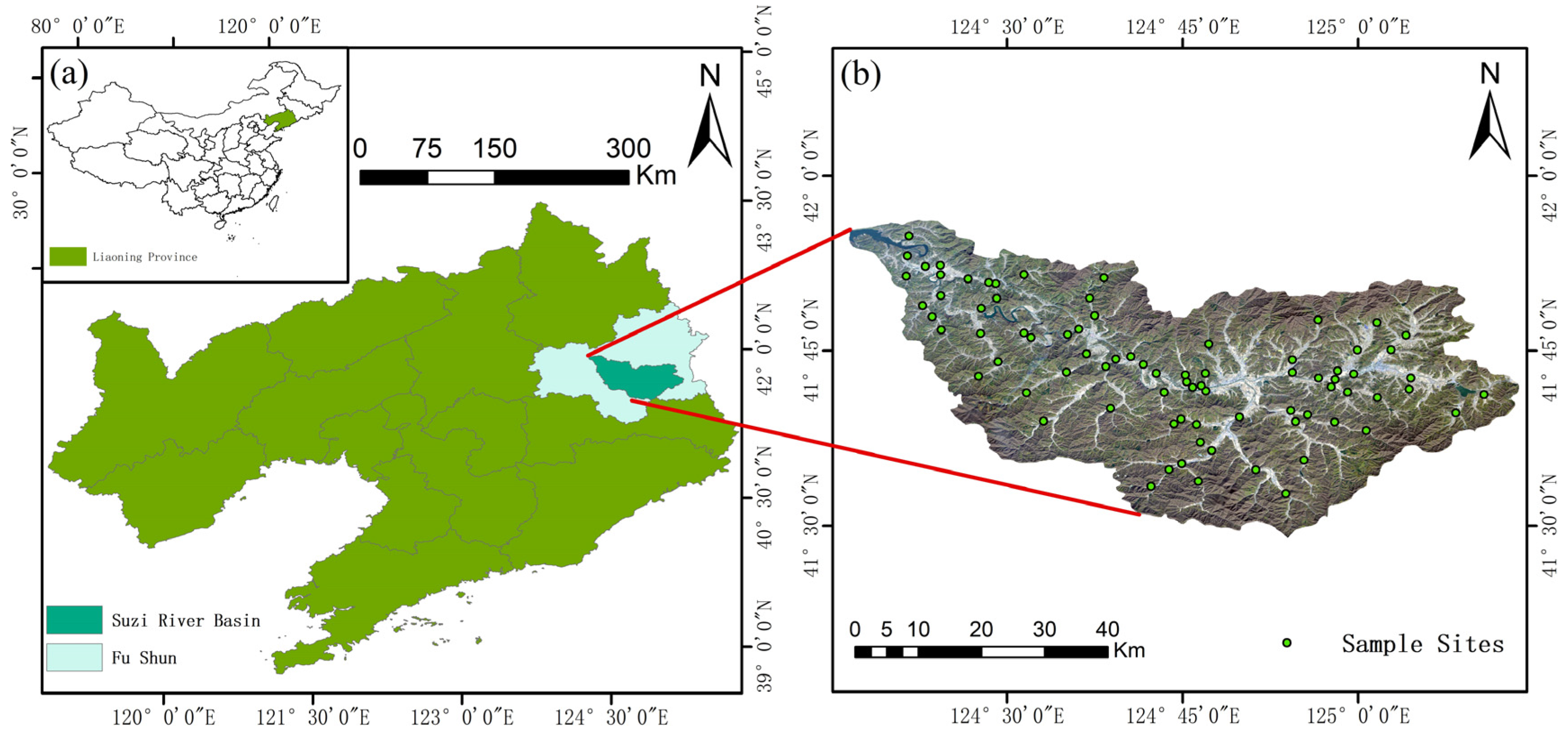 Remotesensing 13 02718 g001 550