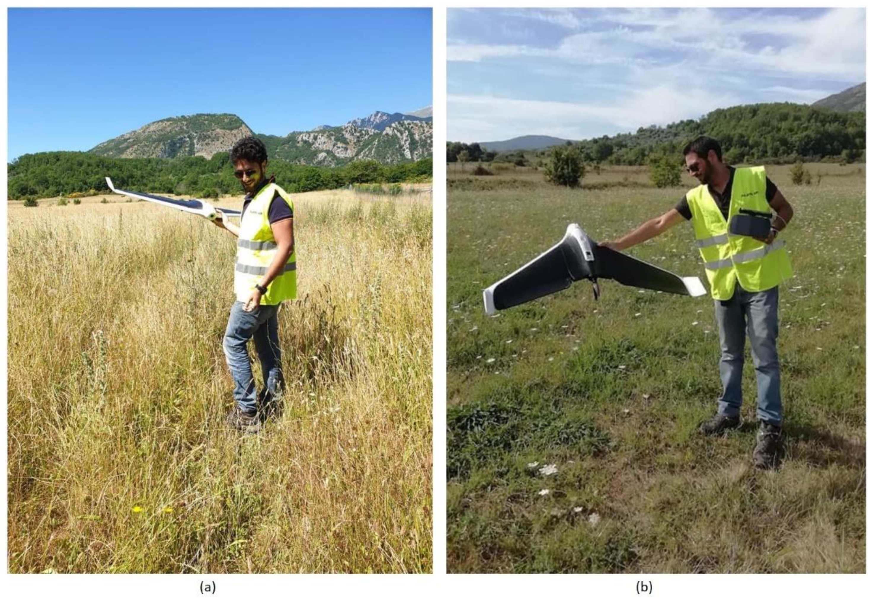 Remotesensing 13 02719 g004 Remotesensing 13 02719 g004