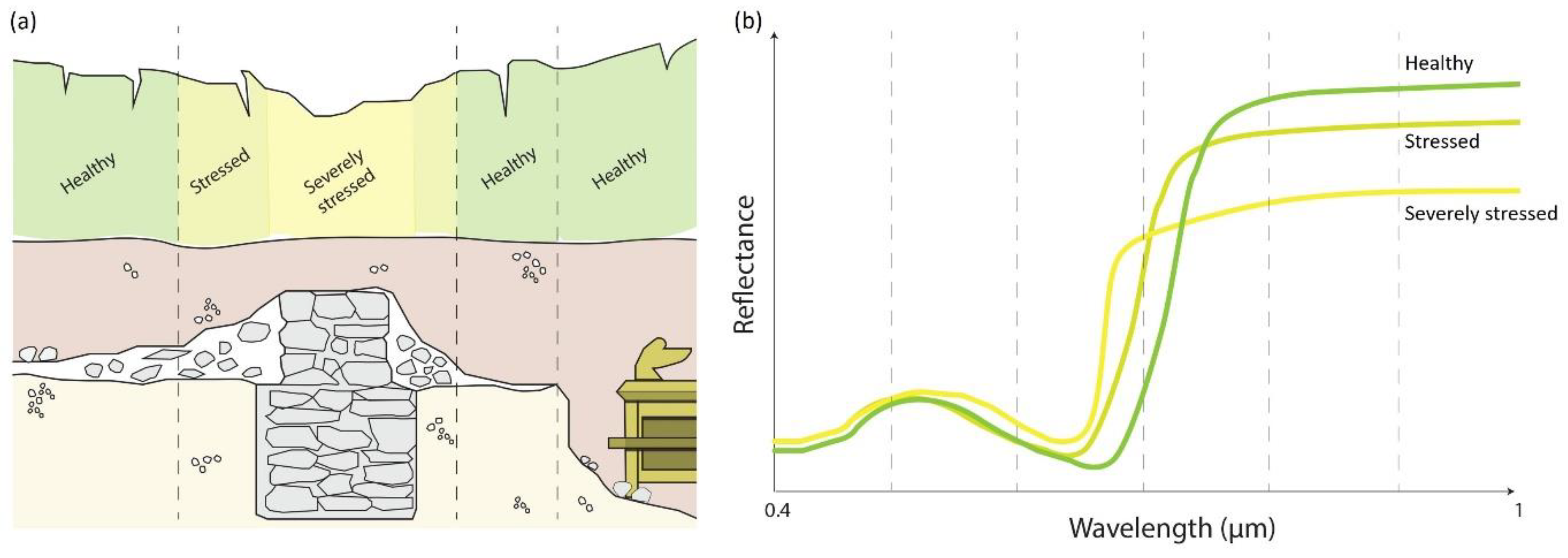 Remotesensing 13 02719 g009 Remotesensing 13 02719 g009