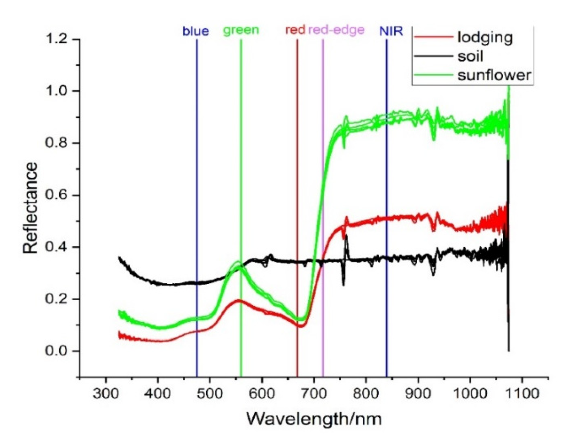Remotesensing 13 02721 g011 550