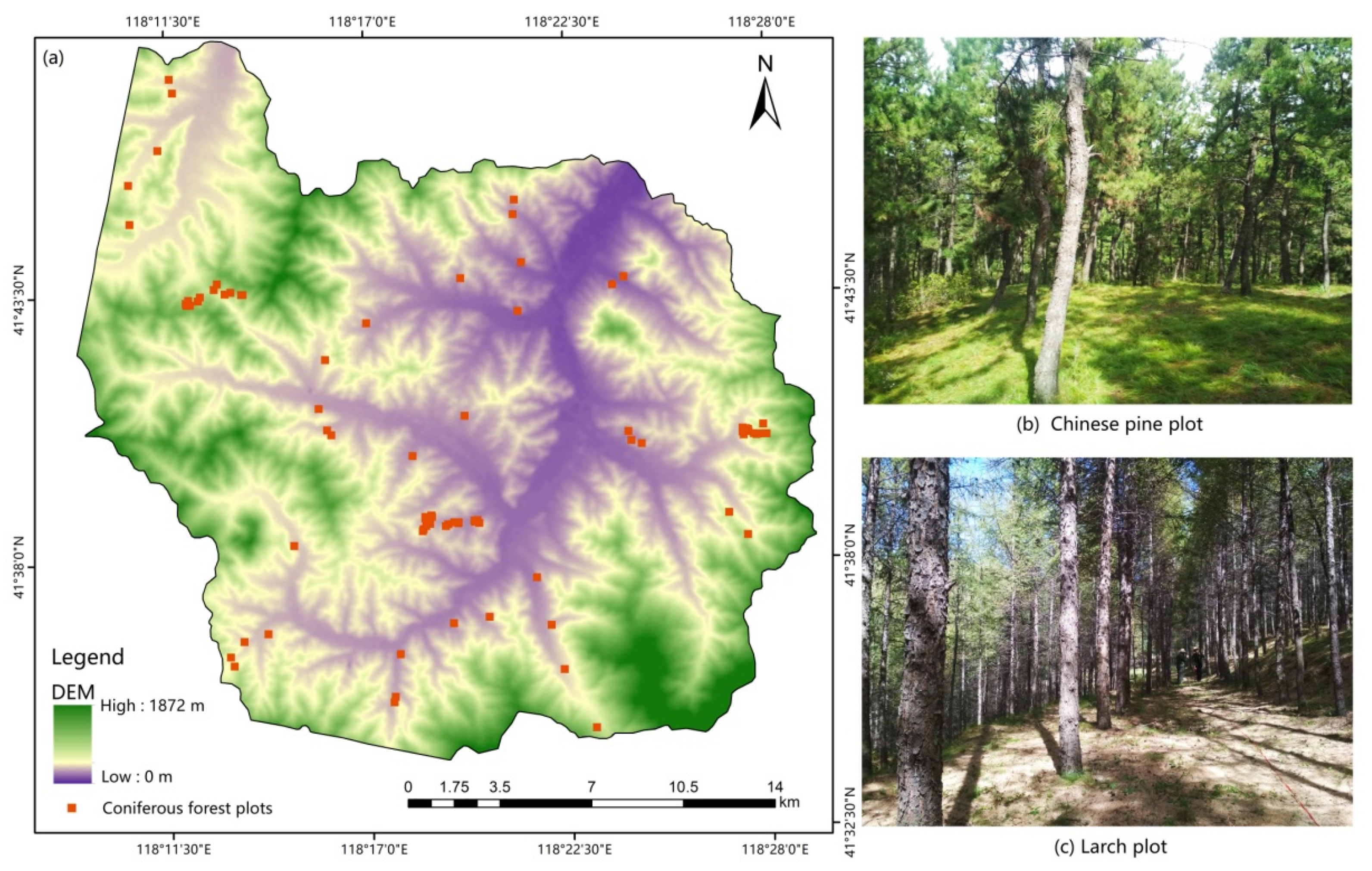 Remotesensing 13 02740 g002