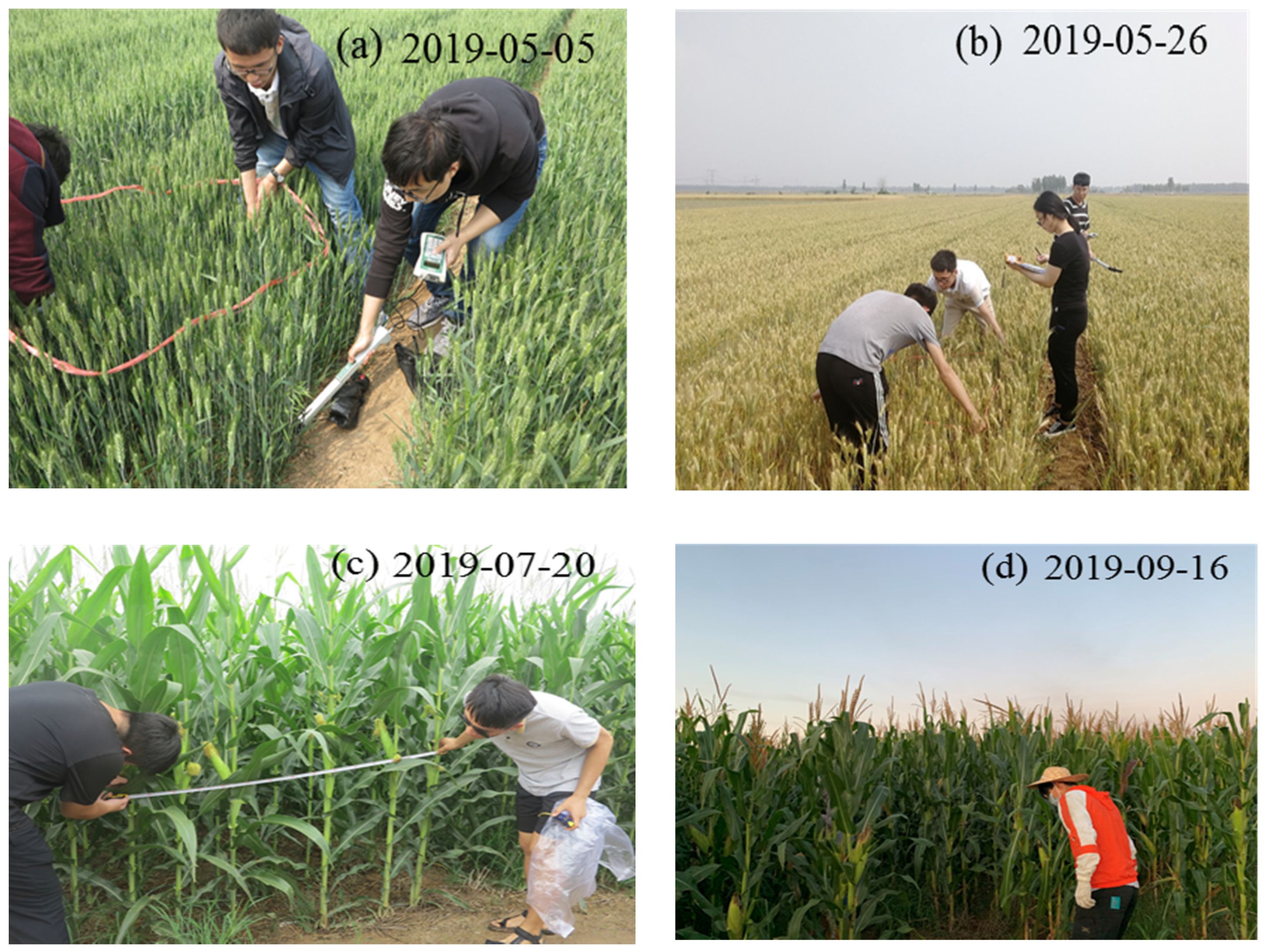 Remotesensing 13 02755 g003 550