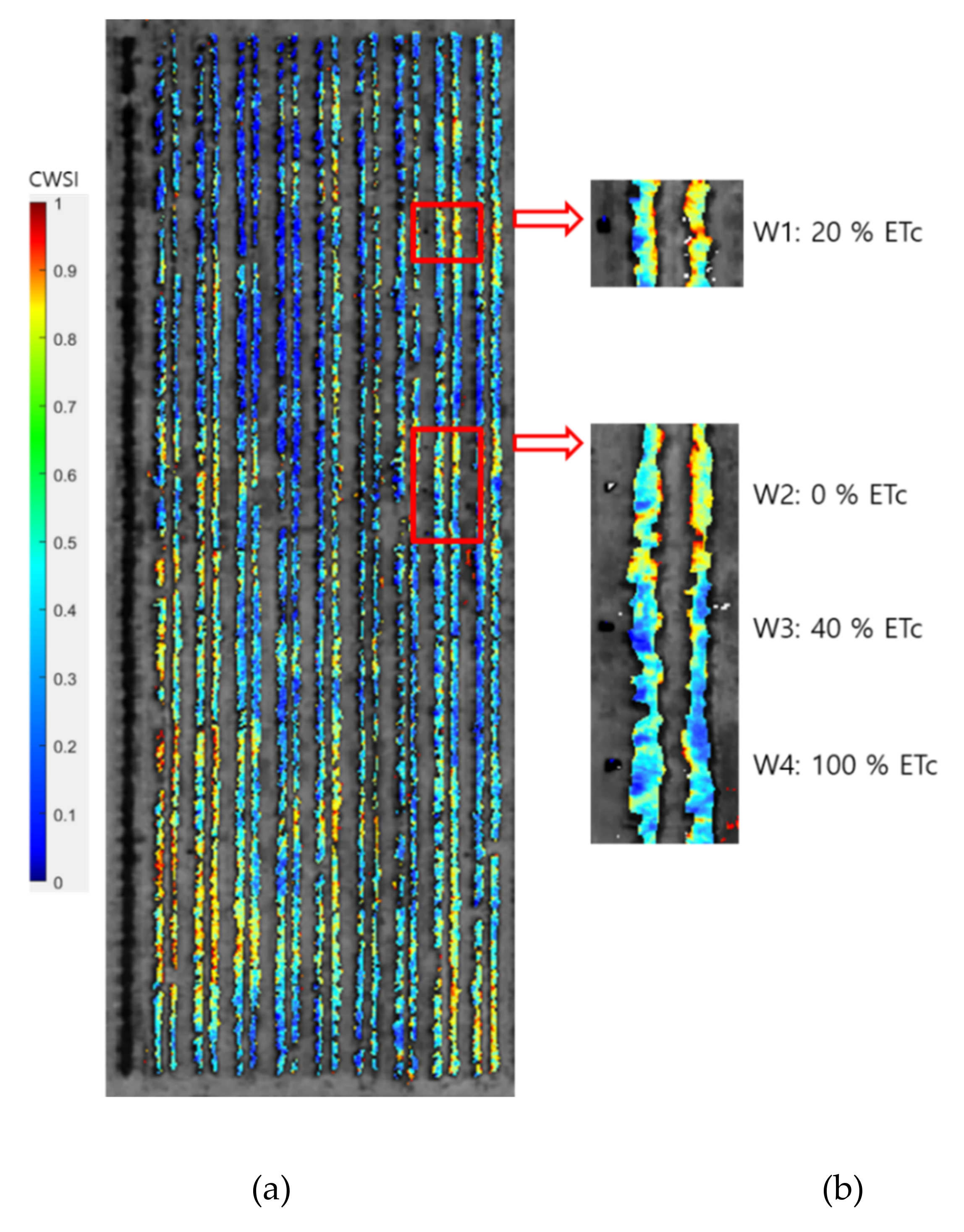 Remotesensing 13 02775 g003 550