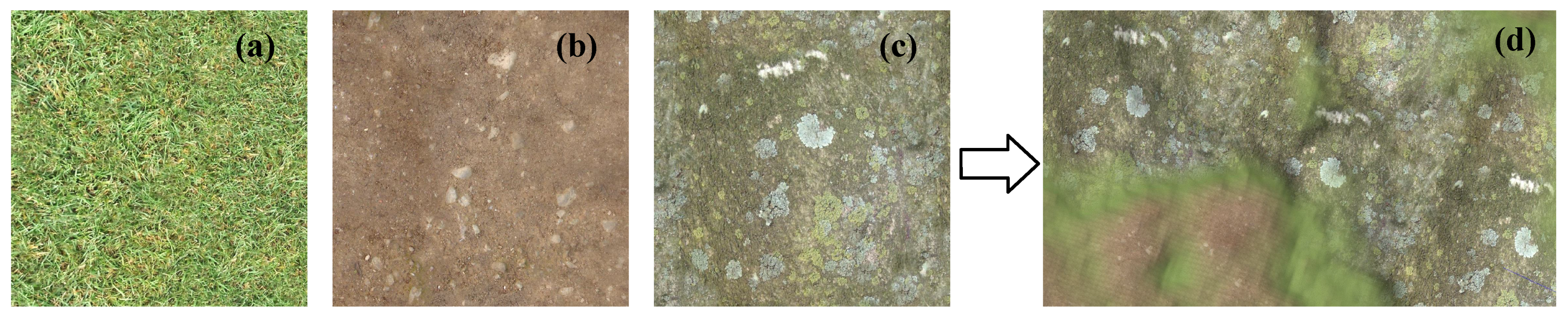 Remotesensing 13 02778 g007