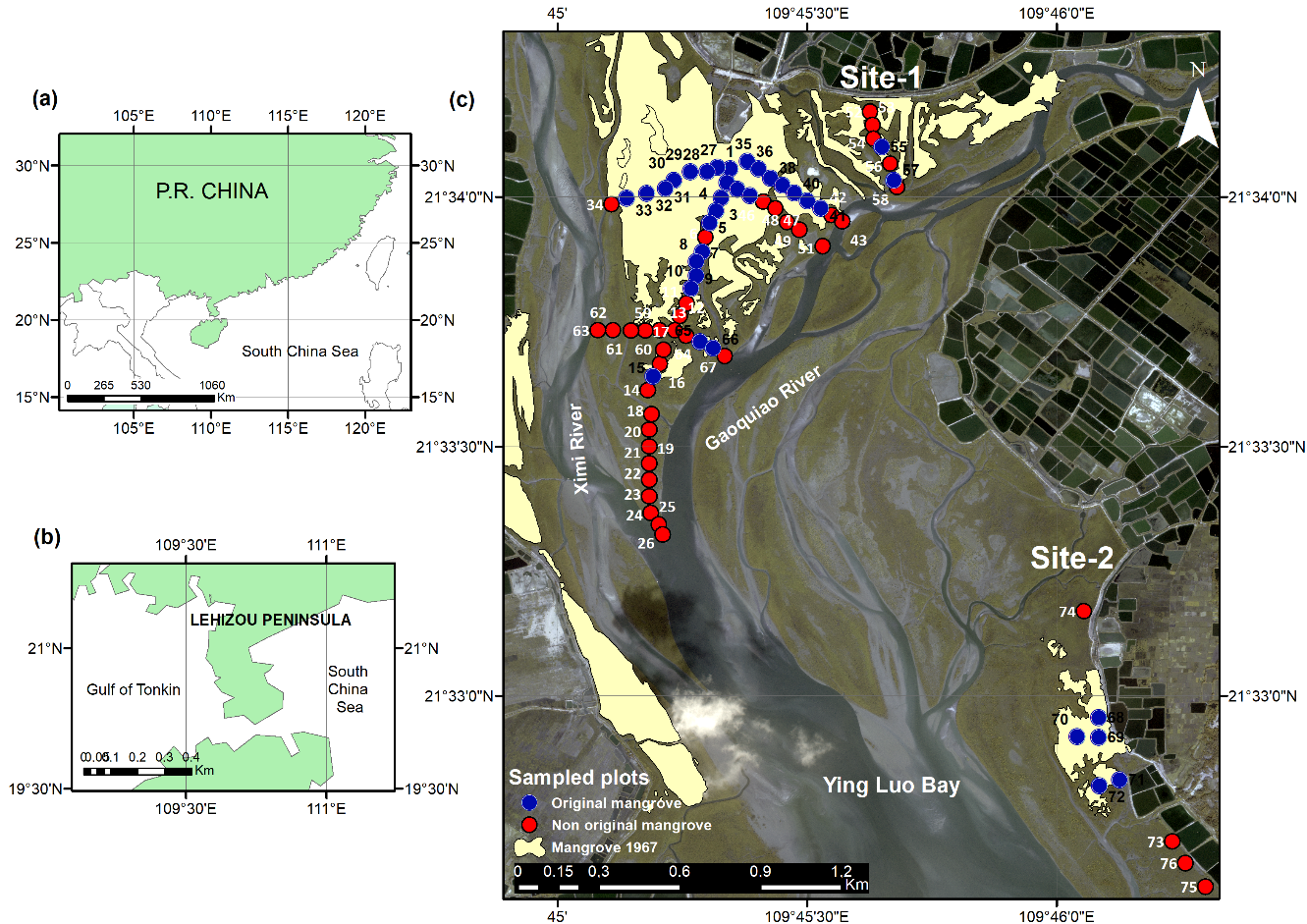 Remotesensing 13 02781 g001 550