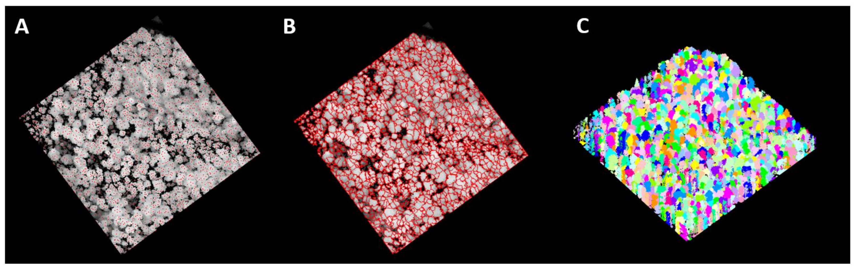 Remotesensing 13 02796 g007