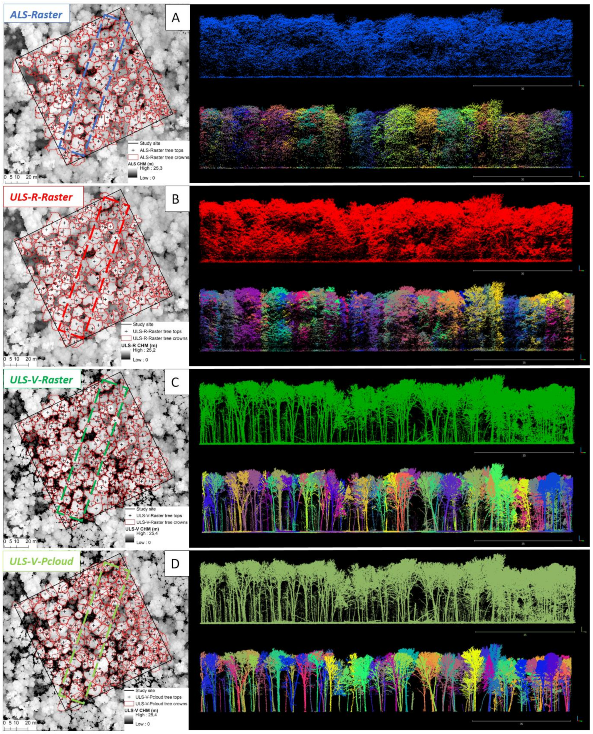 Remotesensing 13 02796 g011