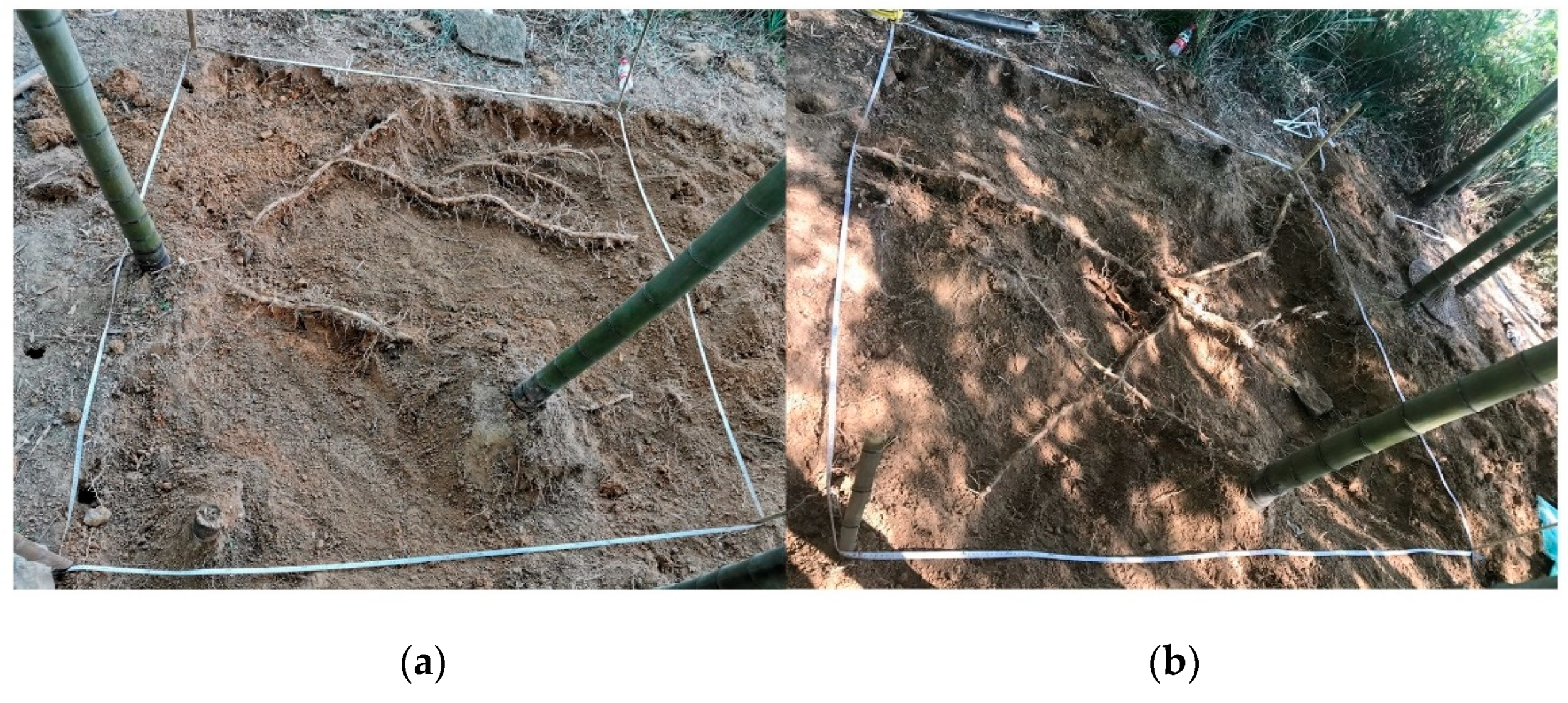 Remotesensing 13 02816 g002 550