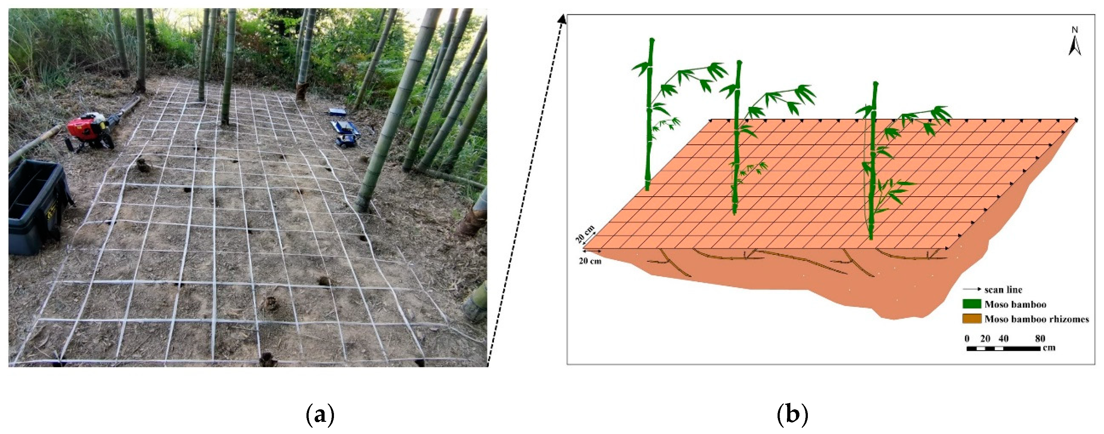Remotesensing 13 02816 g003 550