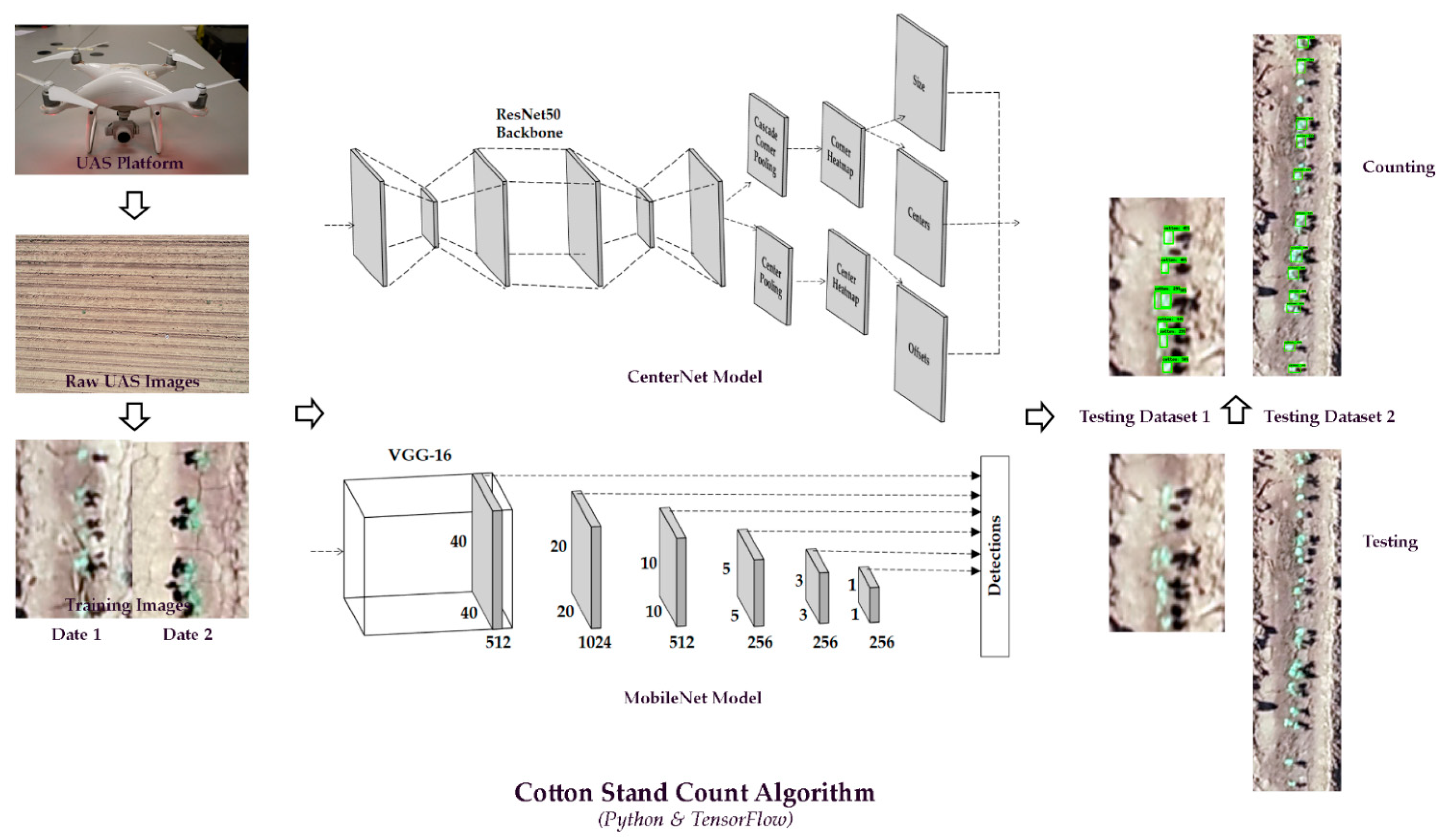 Remotesensing 13 02822 g001 550