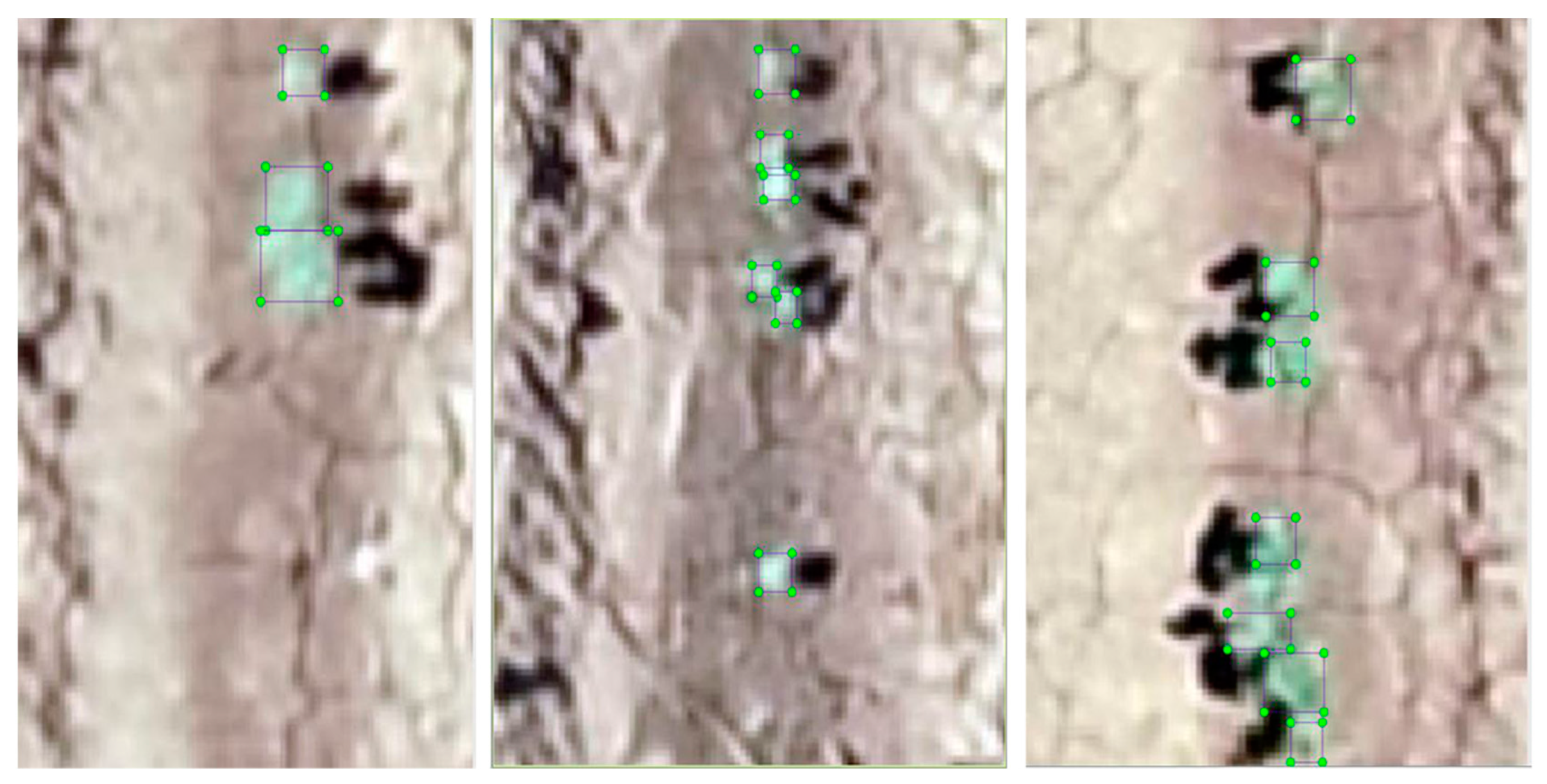 Remotesensing 13 02822 g002 550