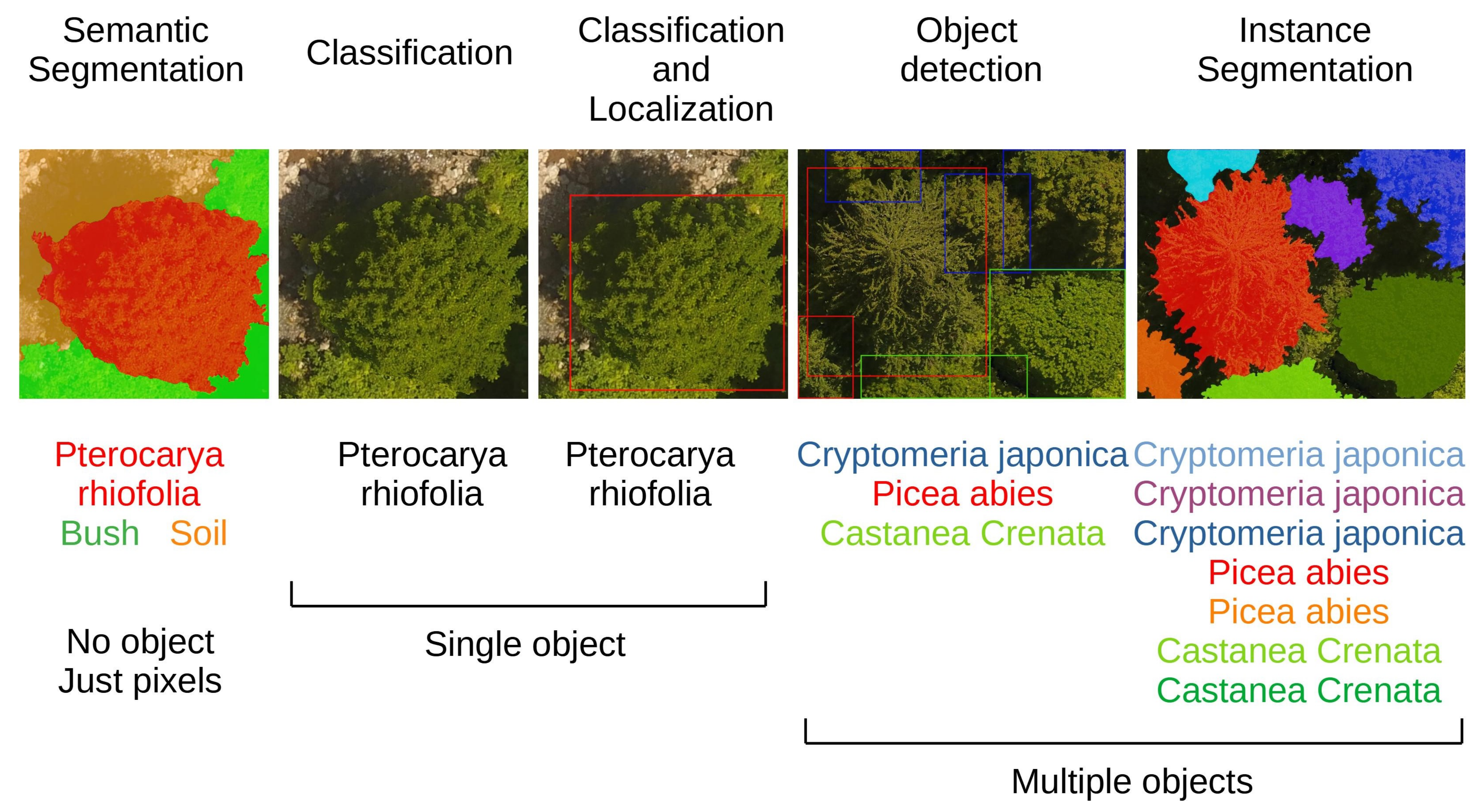 Deep Learning in Forestry Using UAV-Acquired RGB Data: A Practical Review