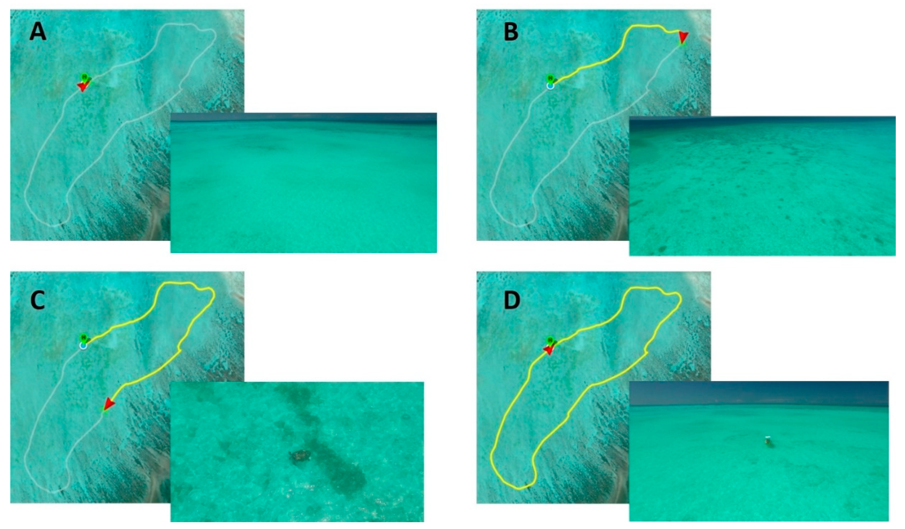 Remotesensing 13 02857 g002 Remotesensing 13 02857 g002