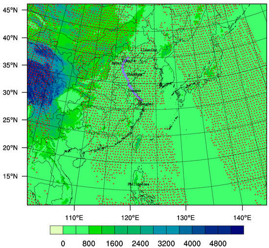 英語版　Tropical  Pokemon Tropical Wind | eBay