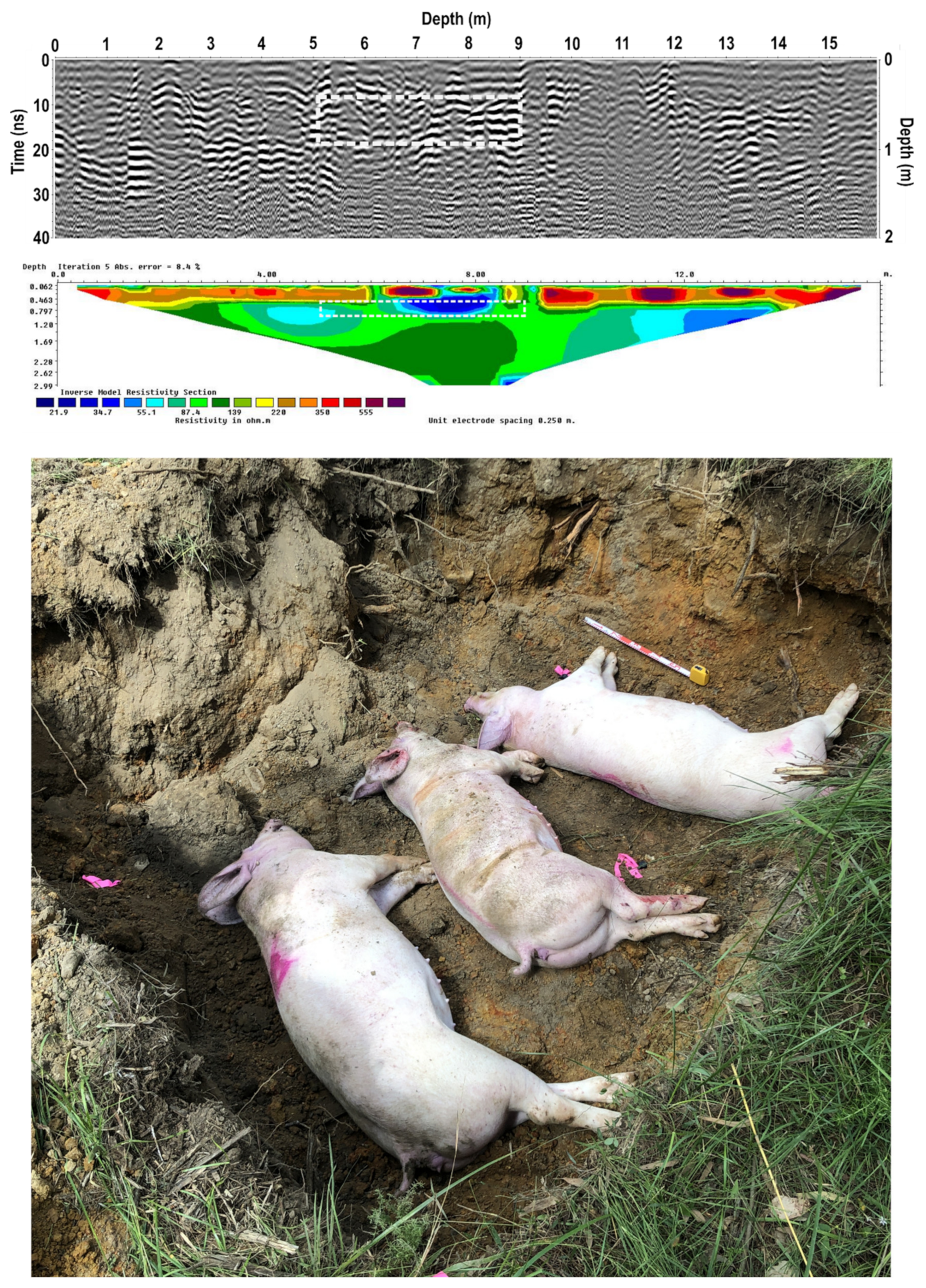 Remotesensing 13 02880 g004 550