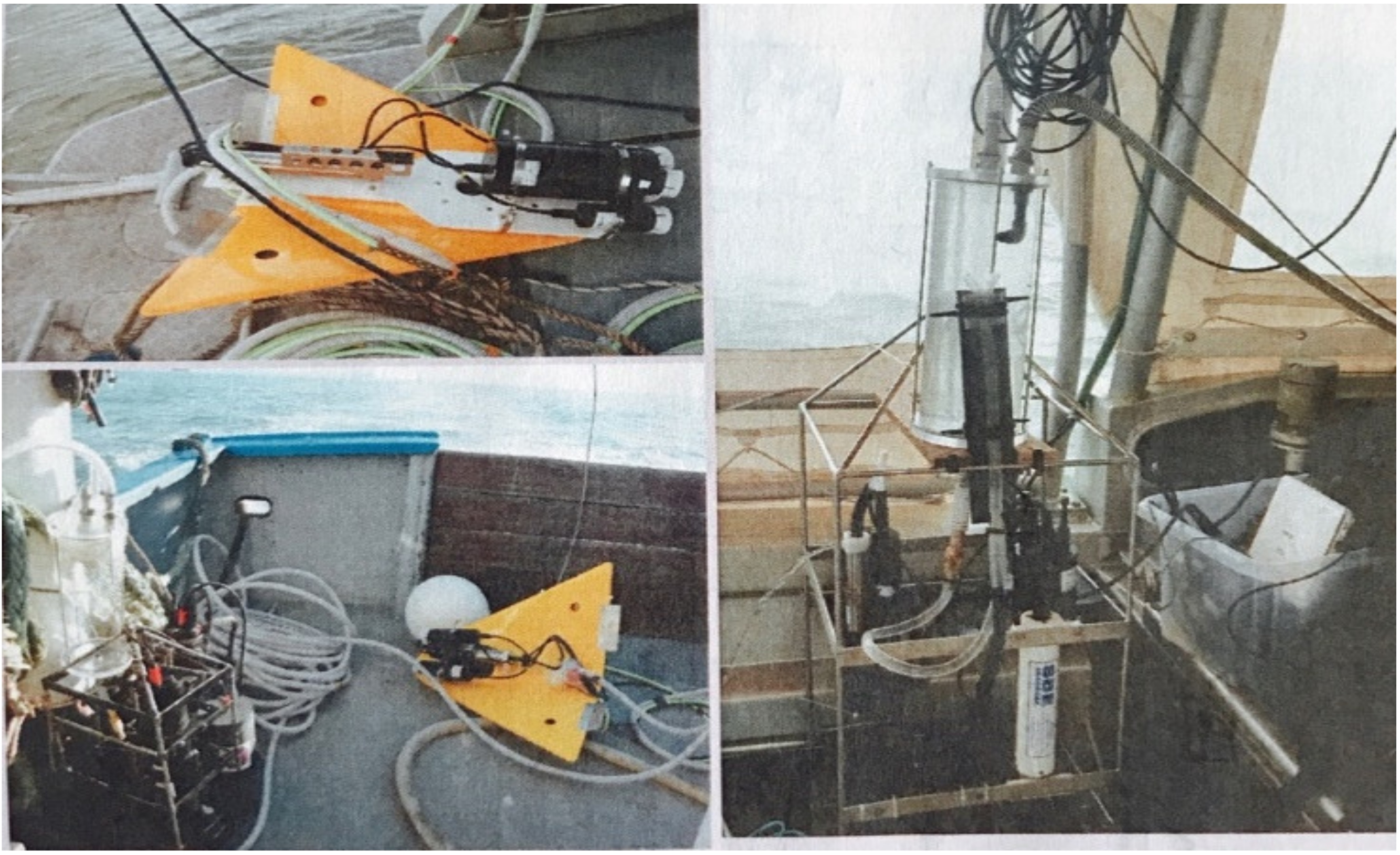 Remotesensing 13 02899 g004 Remotesensing 13 02899 g004