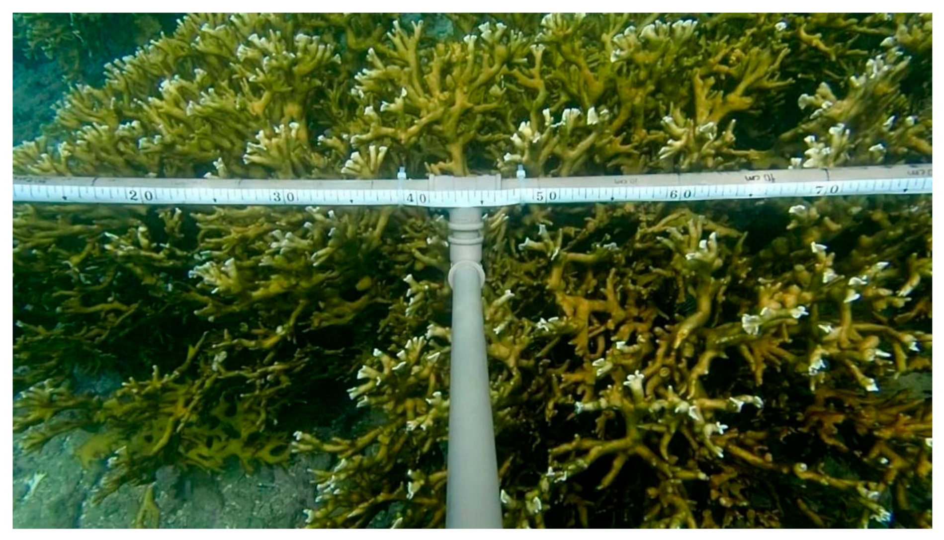 Remotesensing 13 02907 g003