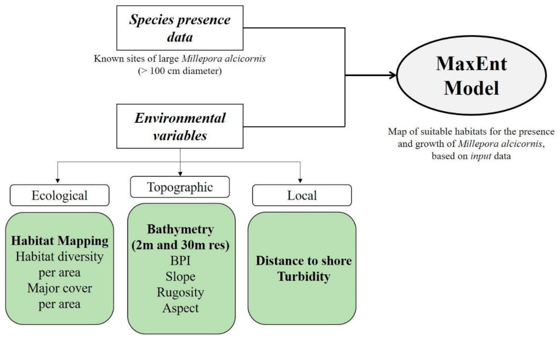 Remotesensing 13 02907 g004