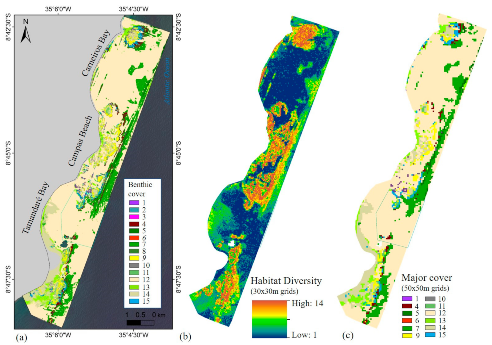 Remotesensing 13 02907 g006