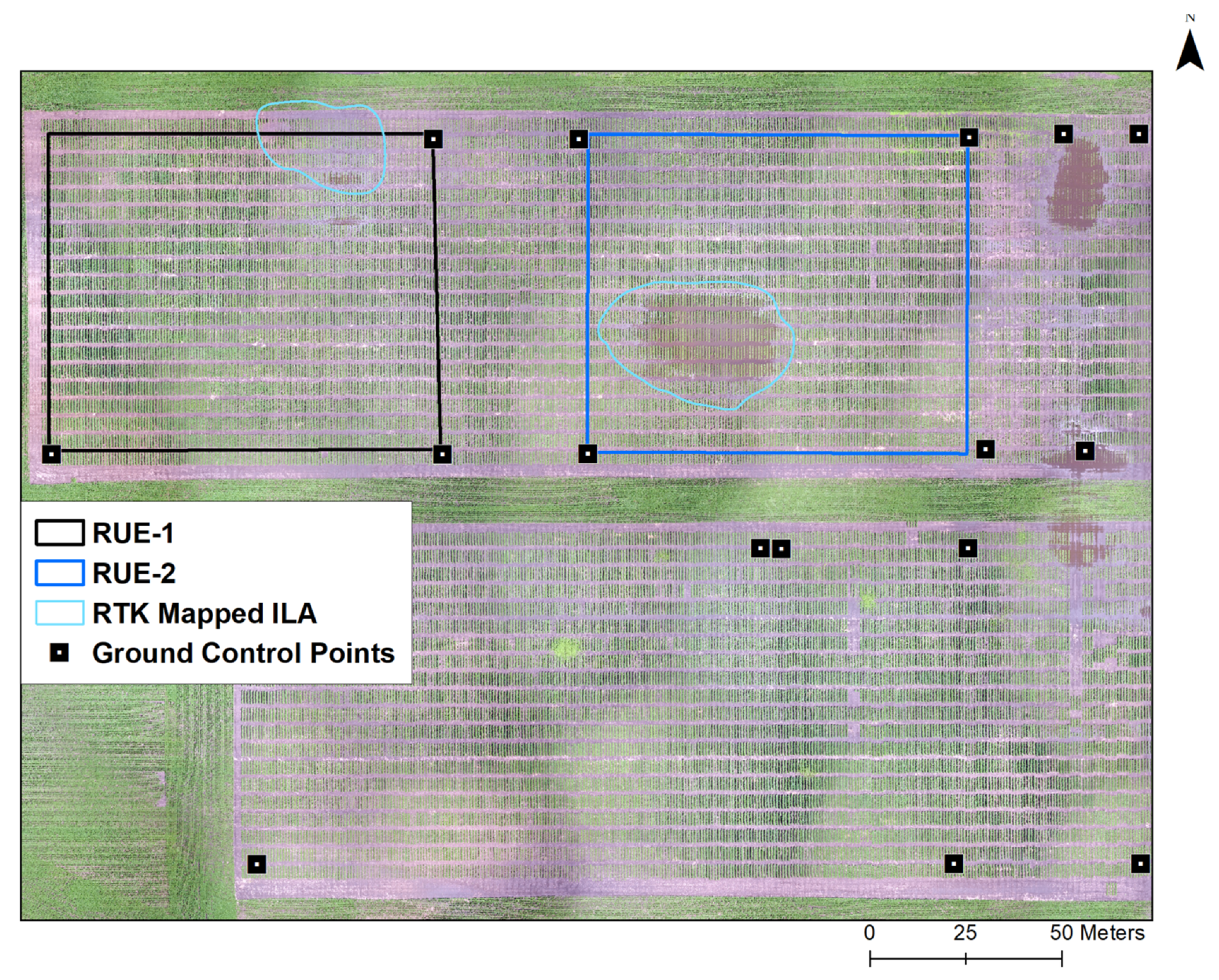 Remotesensing 13 02911 g002