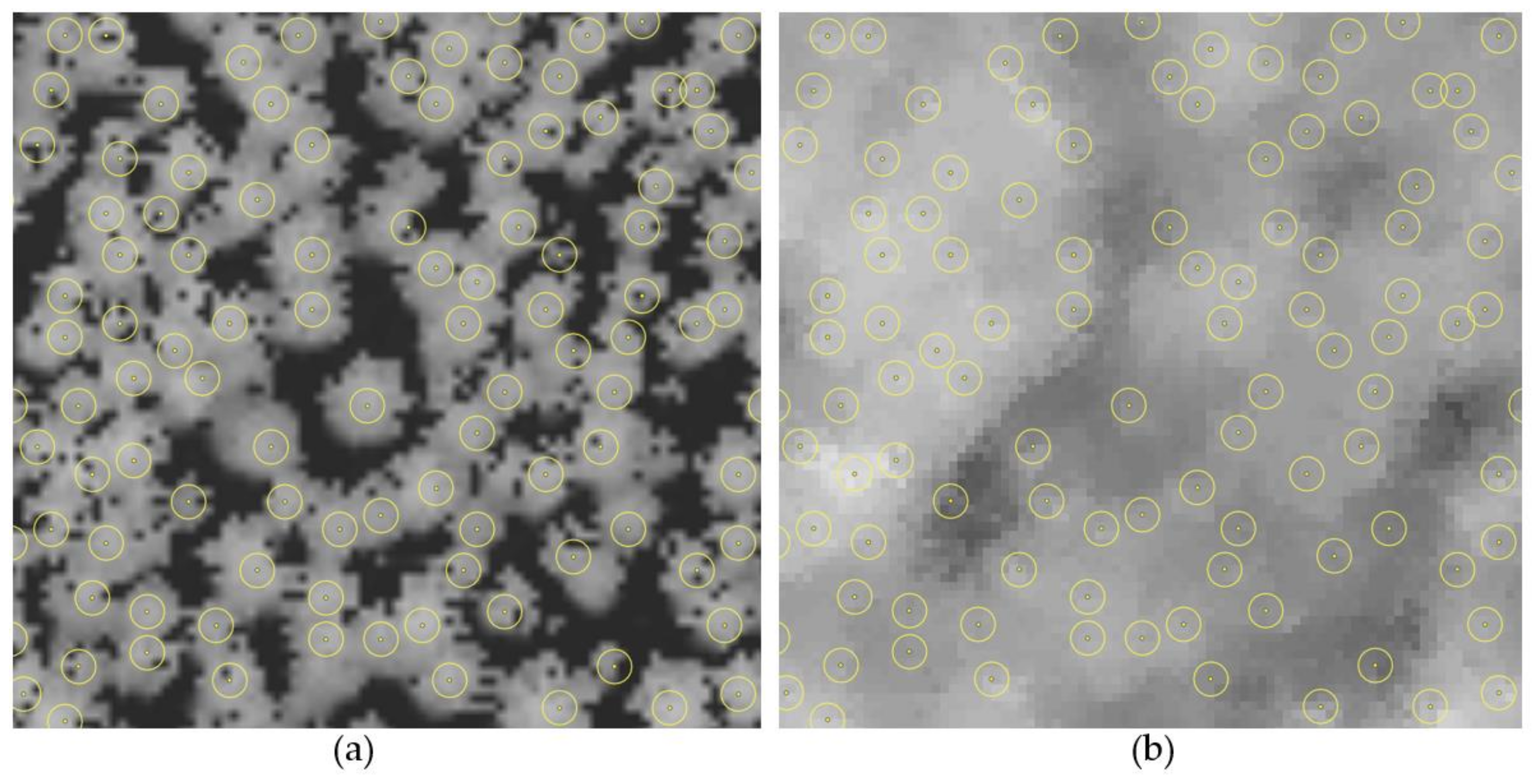 Remotesensing 13 02941 g004 550