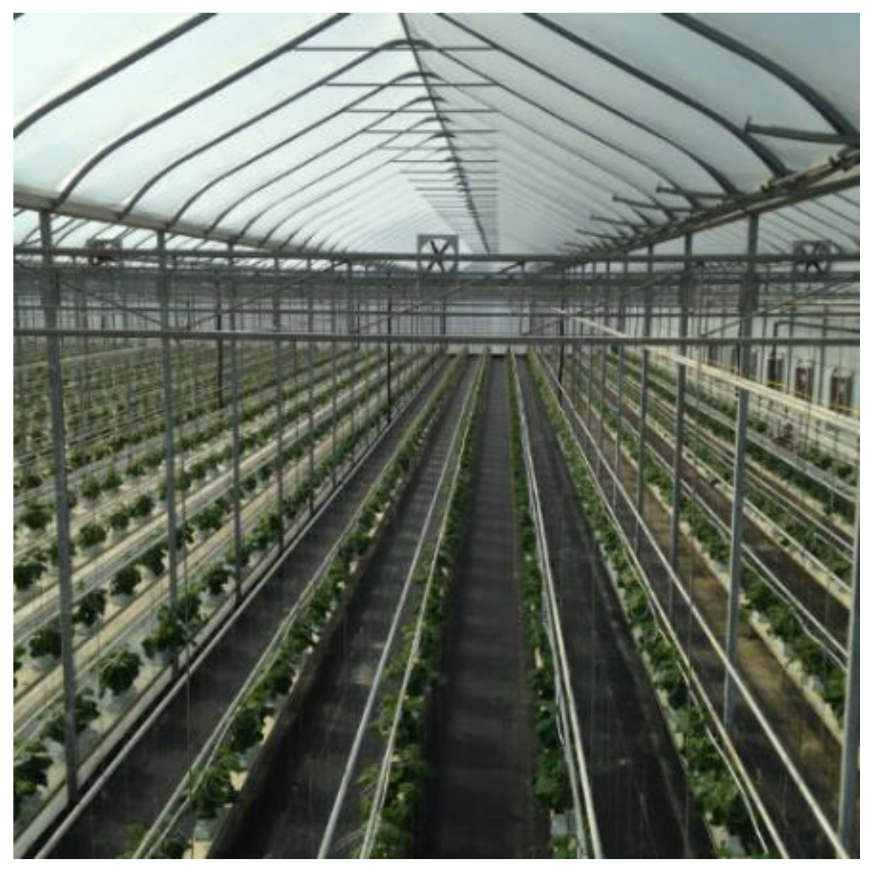 Remotesensing 13 02948 g001 550