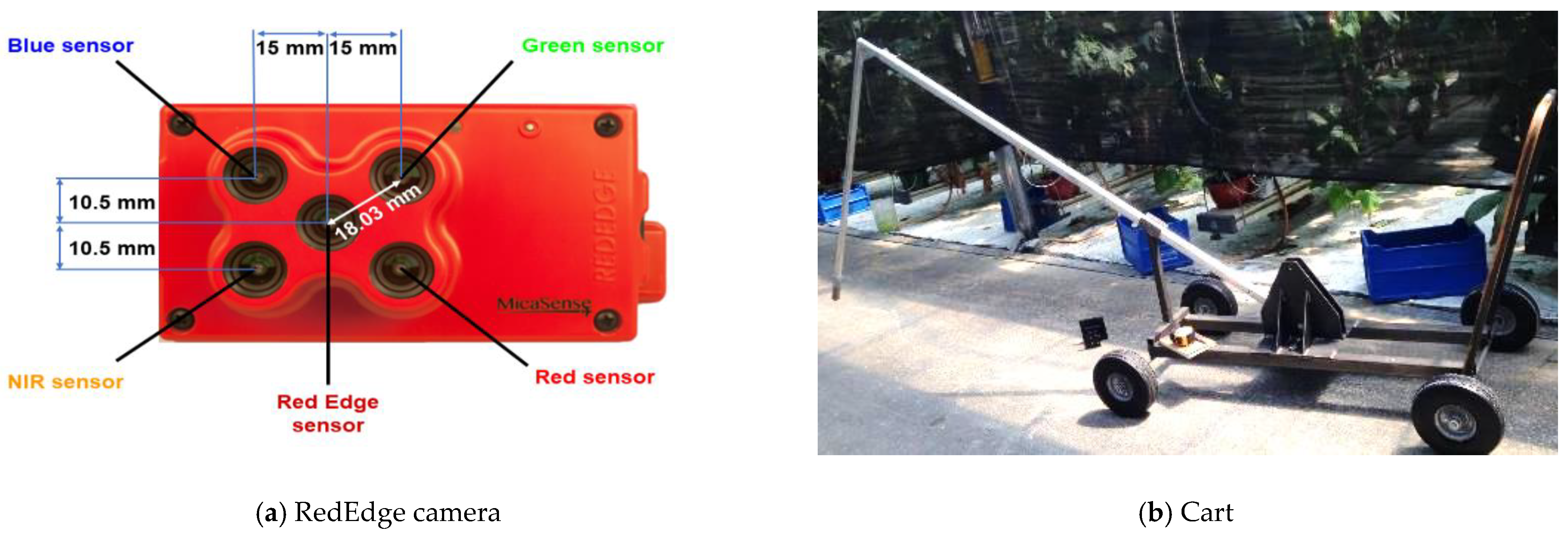 Remotesensing 13 02948 g002 550