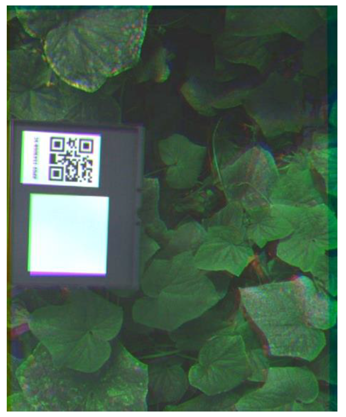 Remotesensing 13 02948 g003 550