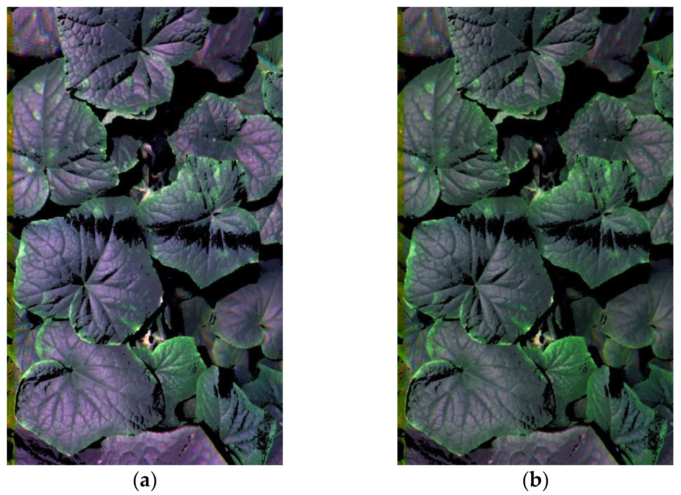 Remotesensing 13 02948 g005 550