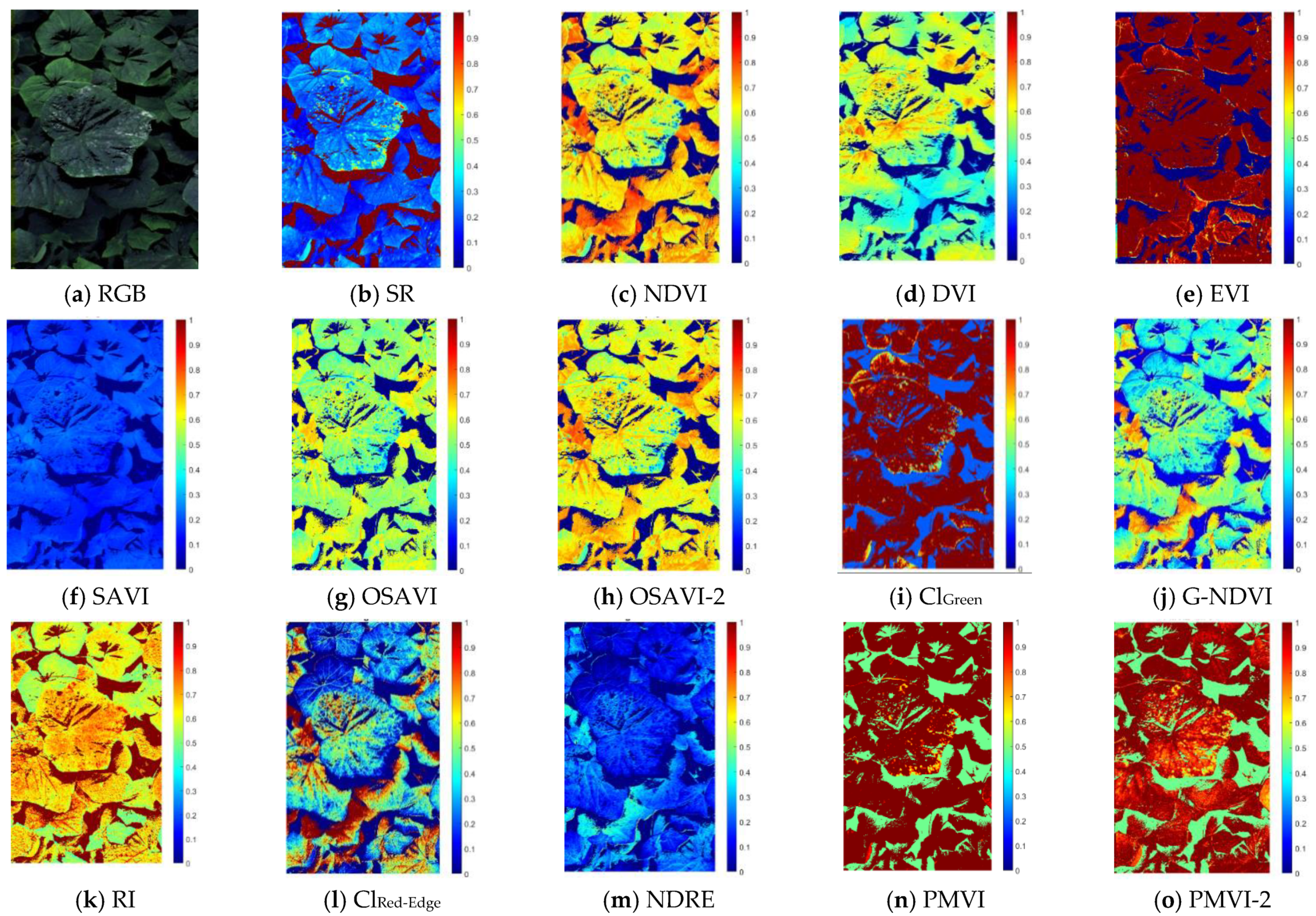 Remotesensing 13 02948 g006 550